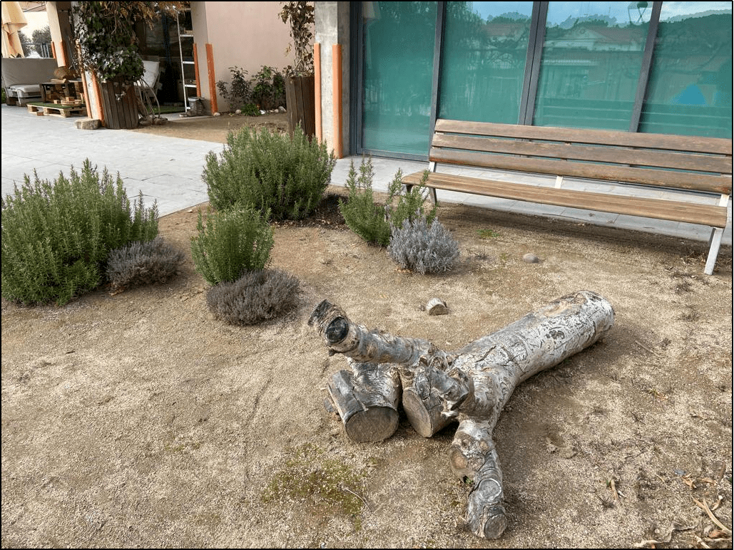 Racó de les plantes aromàtiques.