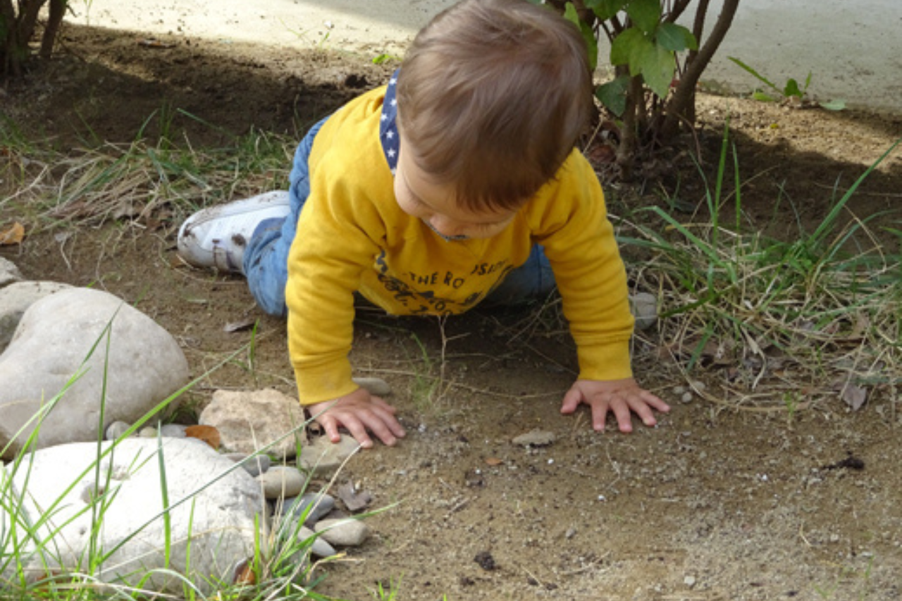 El Jardí de l'escola bressol, un espai privilegiat