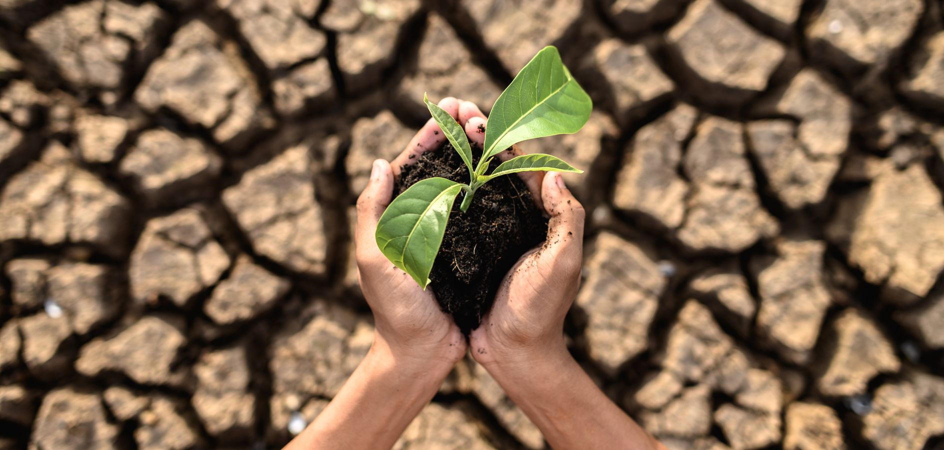 El canvi climàtic, una prioritat educativa  [contingut Fundesplai]