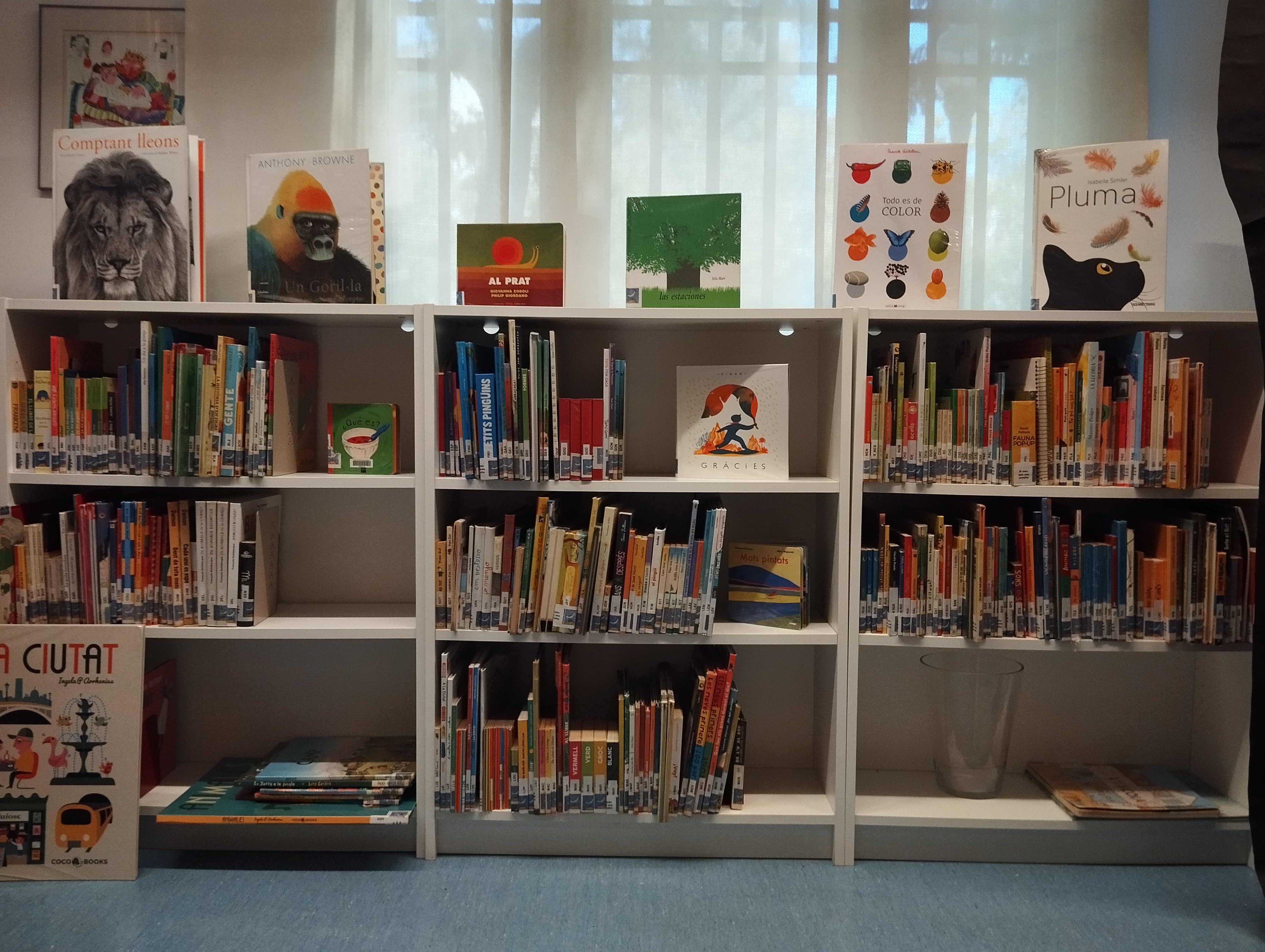 Mediació lectora a l'Educació Infantil 0-6): com acompanyar les primeres lectures