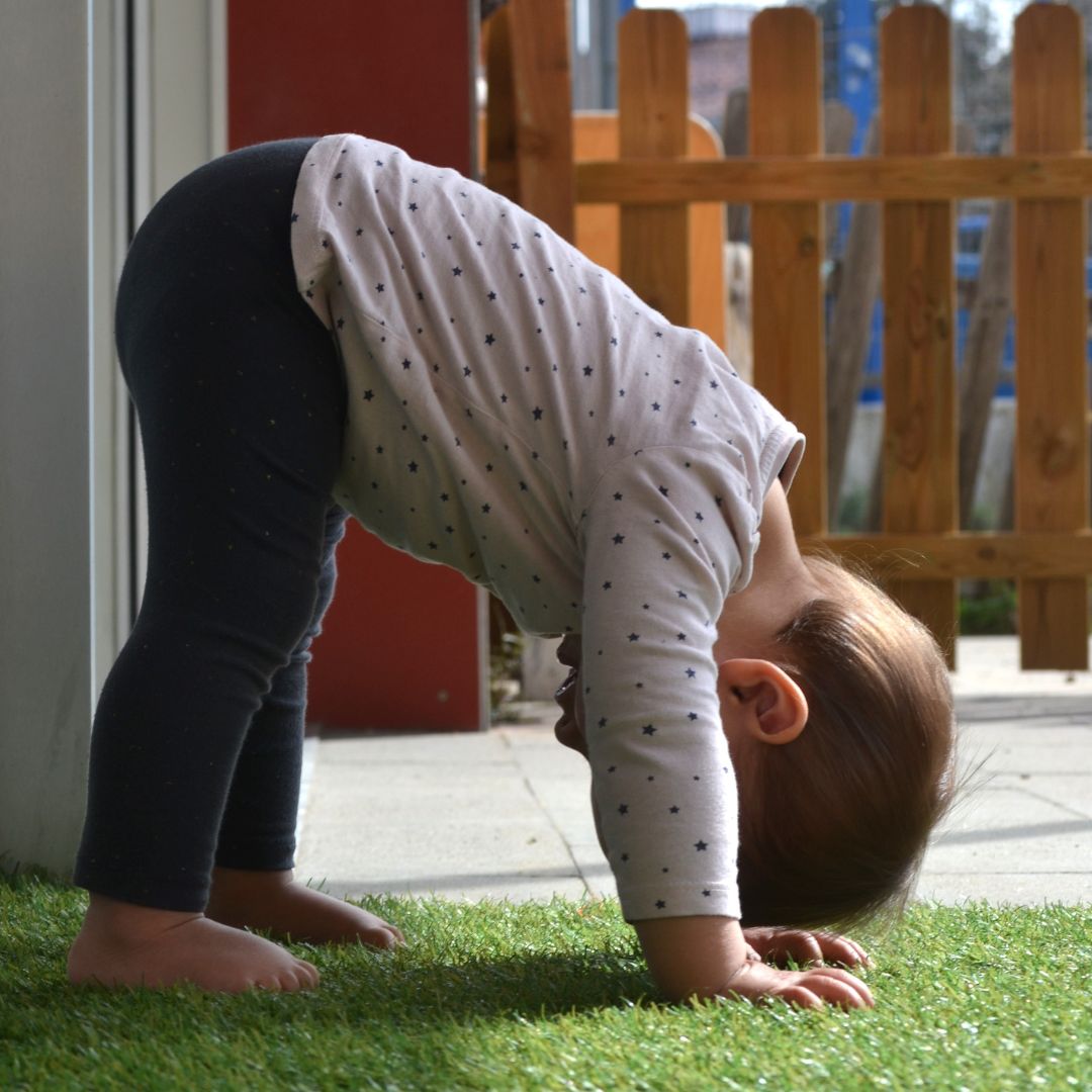 Veure i viure la vida quotidiana