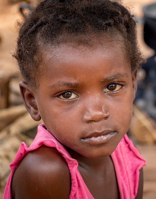 Descobreix l'exposició 