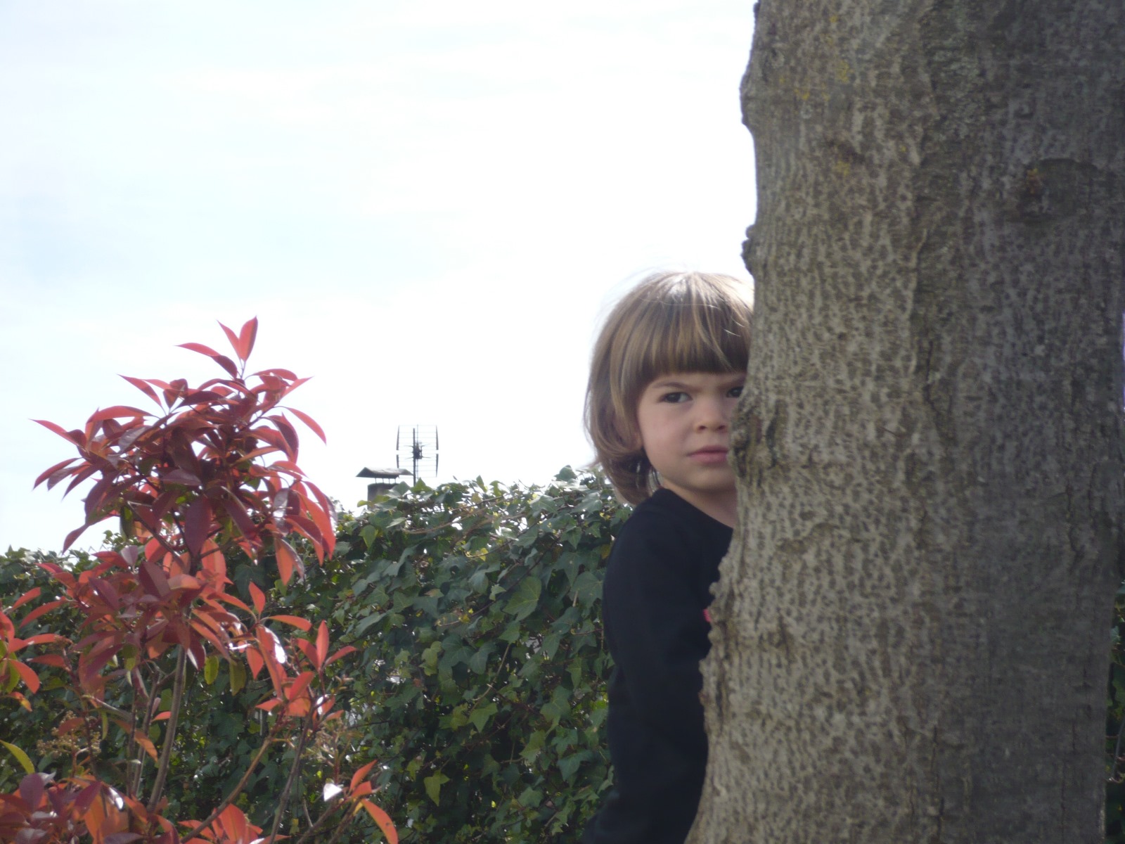 Escoles Bressol obertes les 24 hores