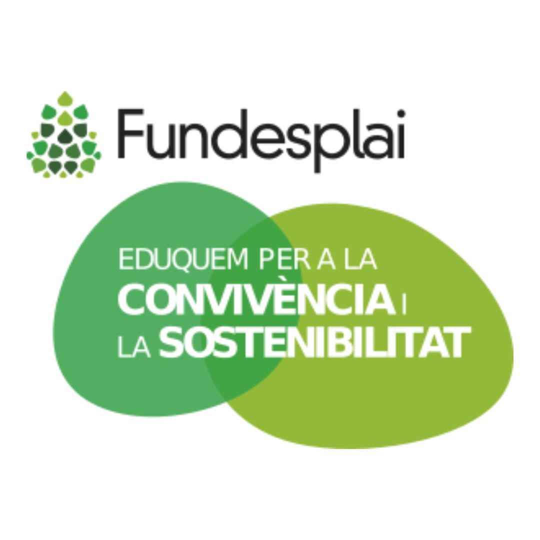 Gaudeix dels Treballs de Síntesi Temàtics de Fundaesplai!