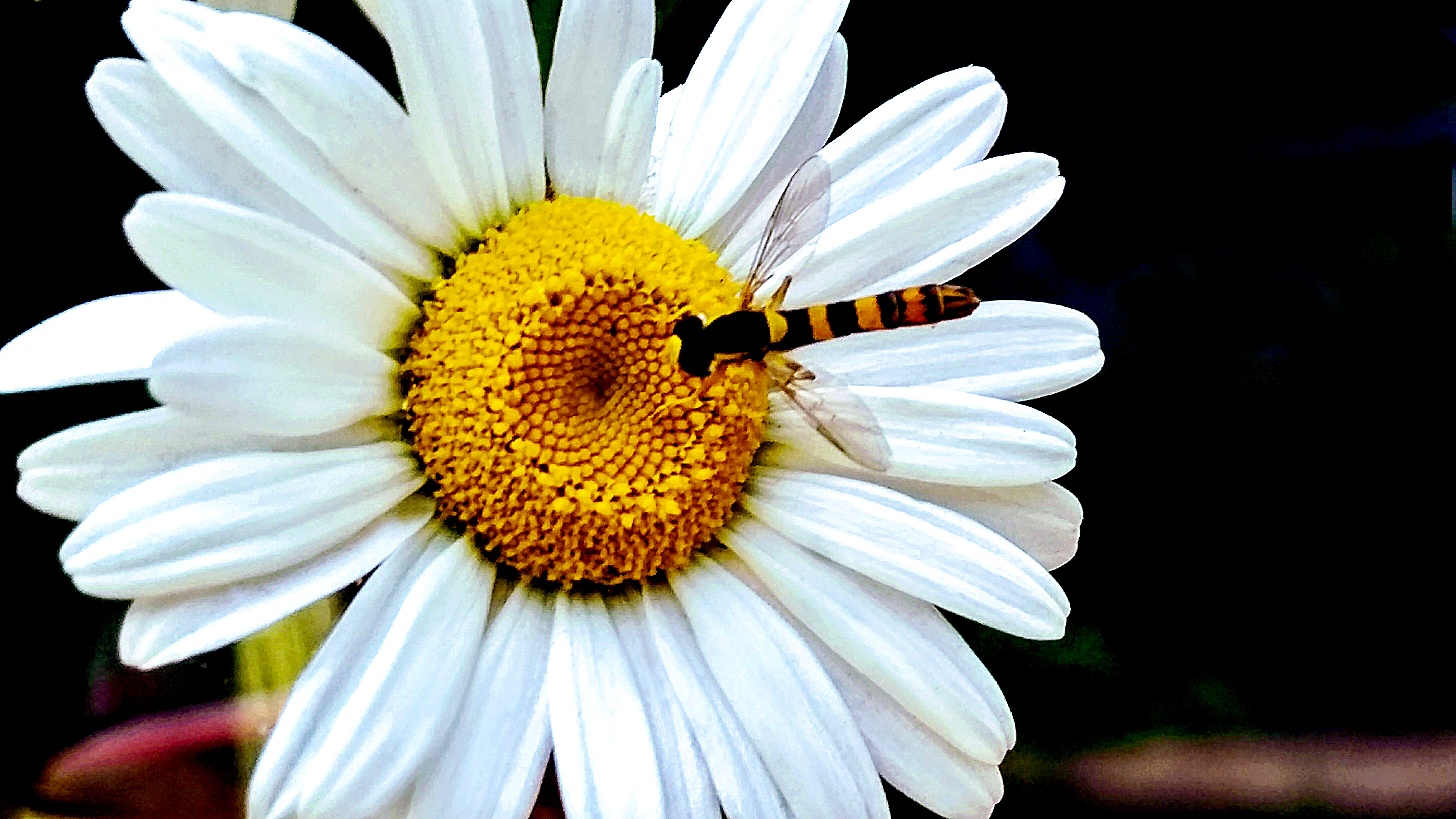 Aquesta tardor, tens moltes oportunitats per venir a Rosa Sensat!