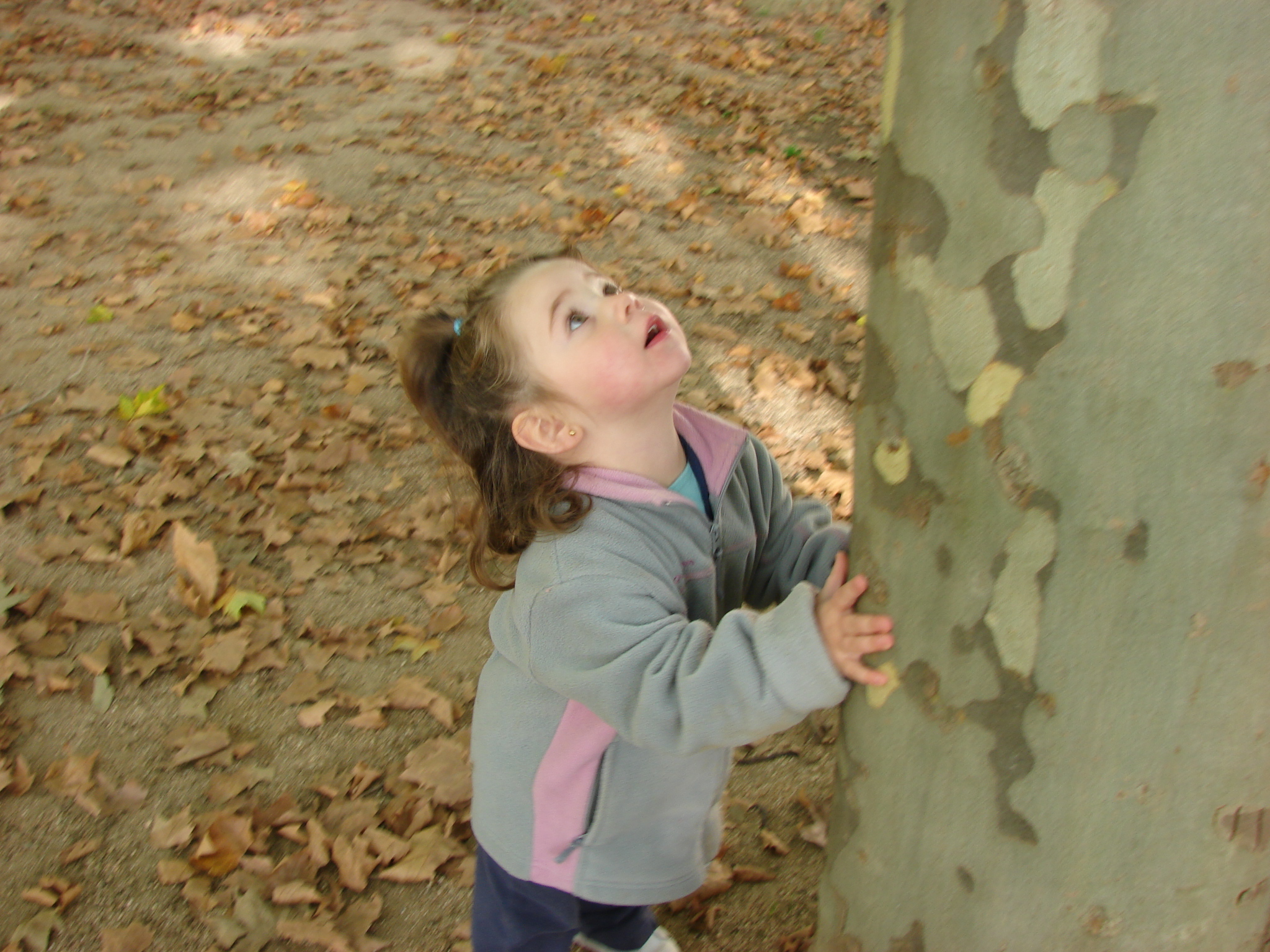 Els infants de 2 anys: sempre en el punt de mira