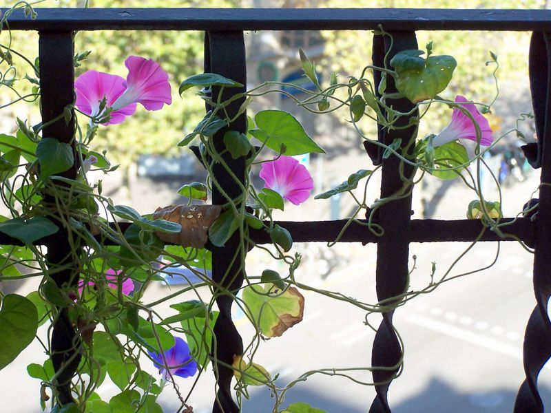 GT Educació Feminista: La violència masclista és sistèmica i estructural