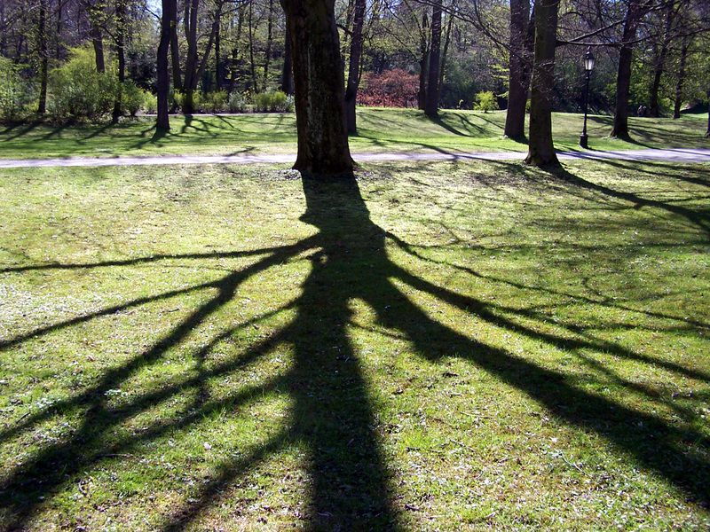 REPENSEM-NOS el futur de l’Associació de Mestres Rosa Sensat