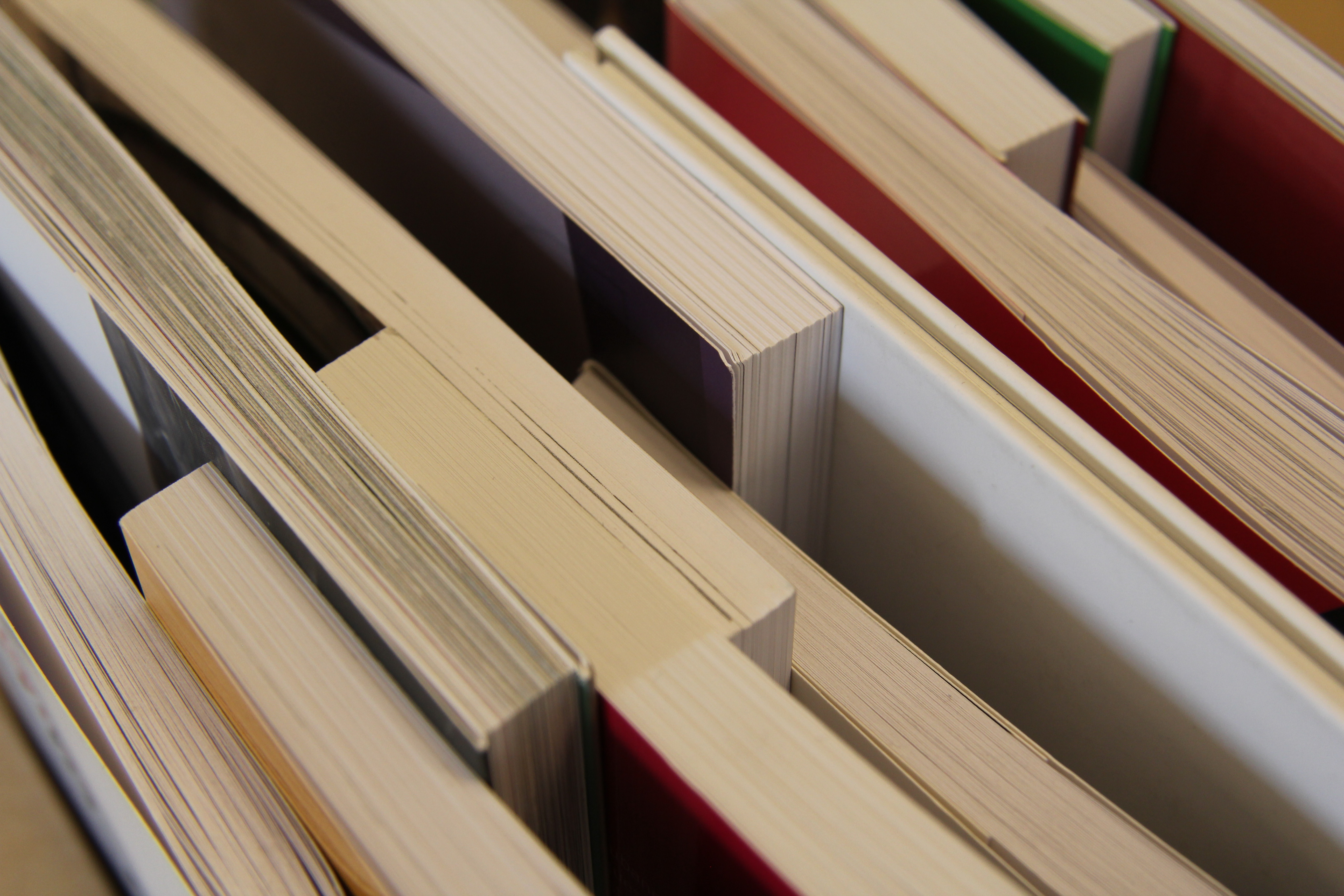 Escull el teu lot de llibres per aquest estiu!