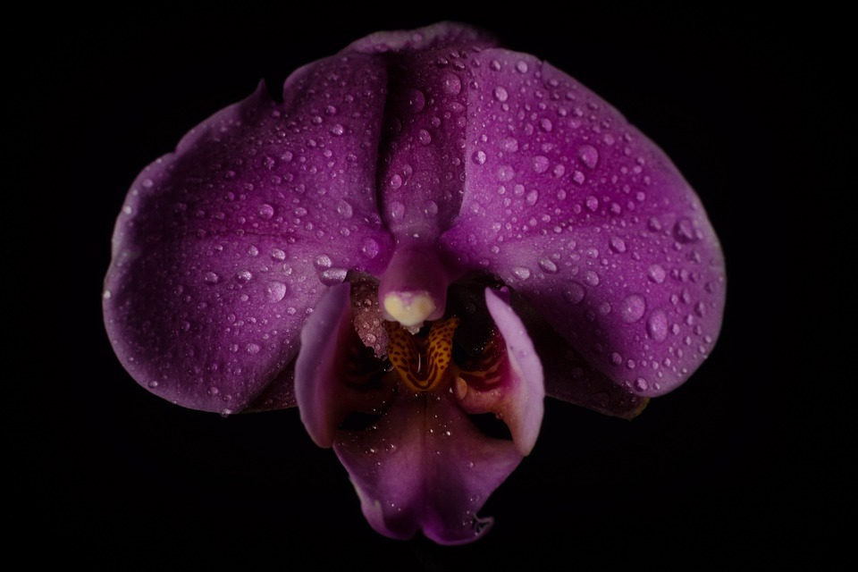 Equip formatiu - Pràctiques i reflexions d’Educació Feminista