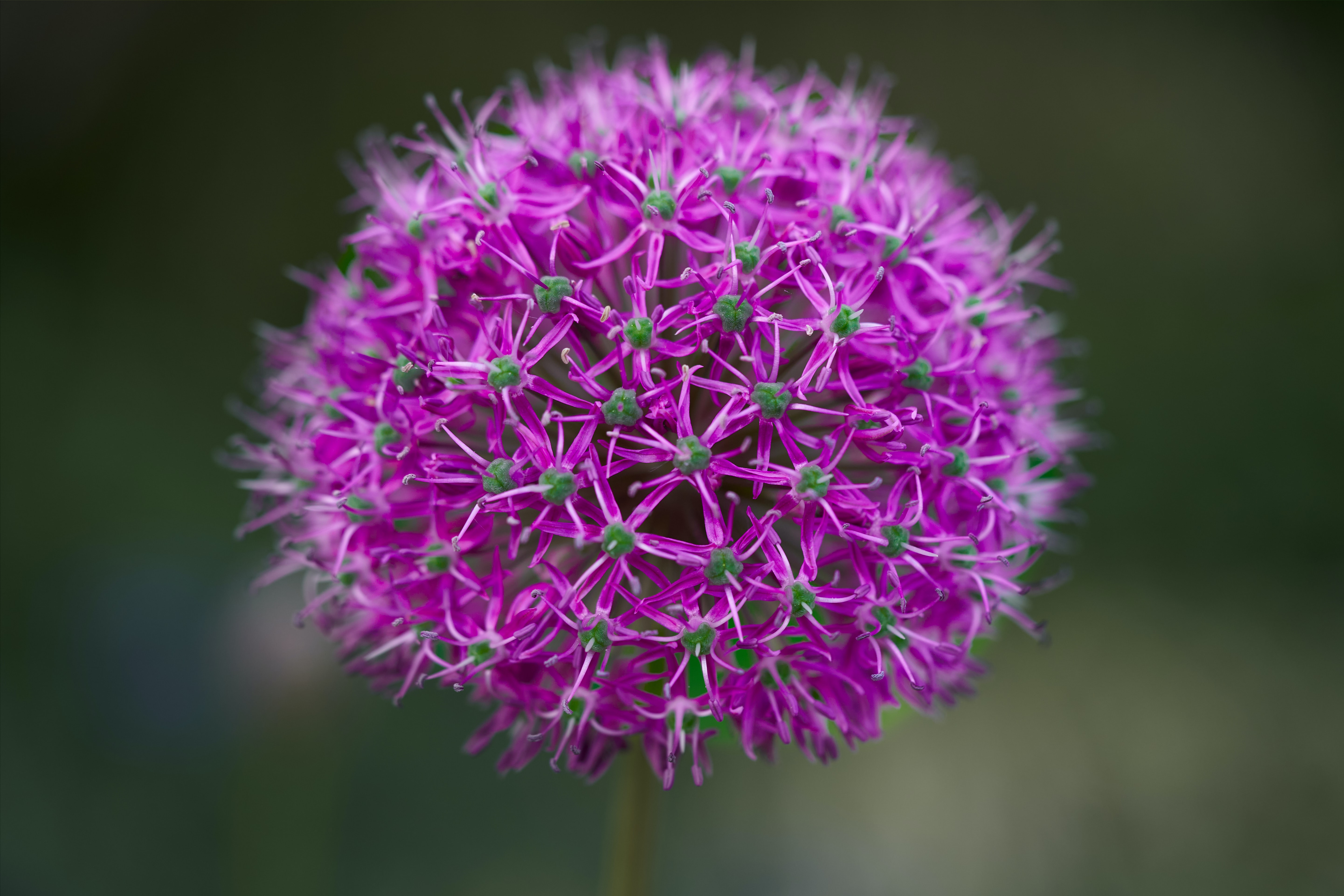 8 de març en educació des de la mirada feminista