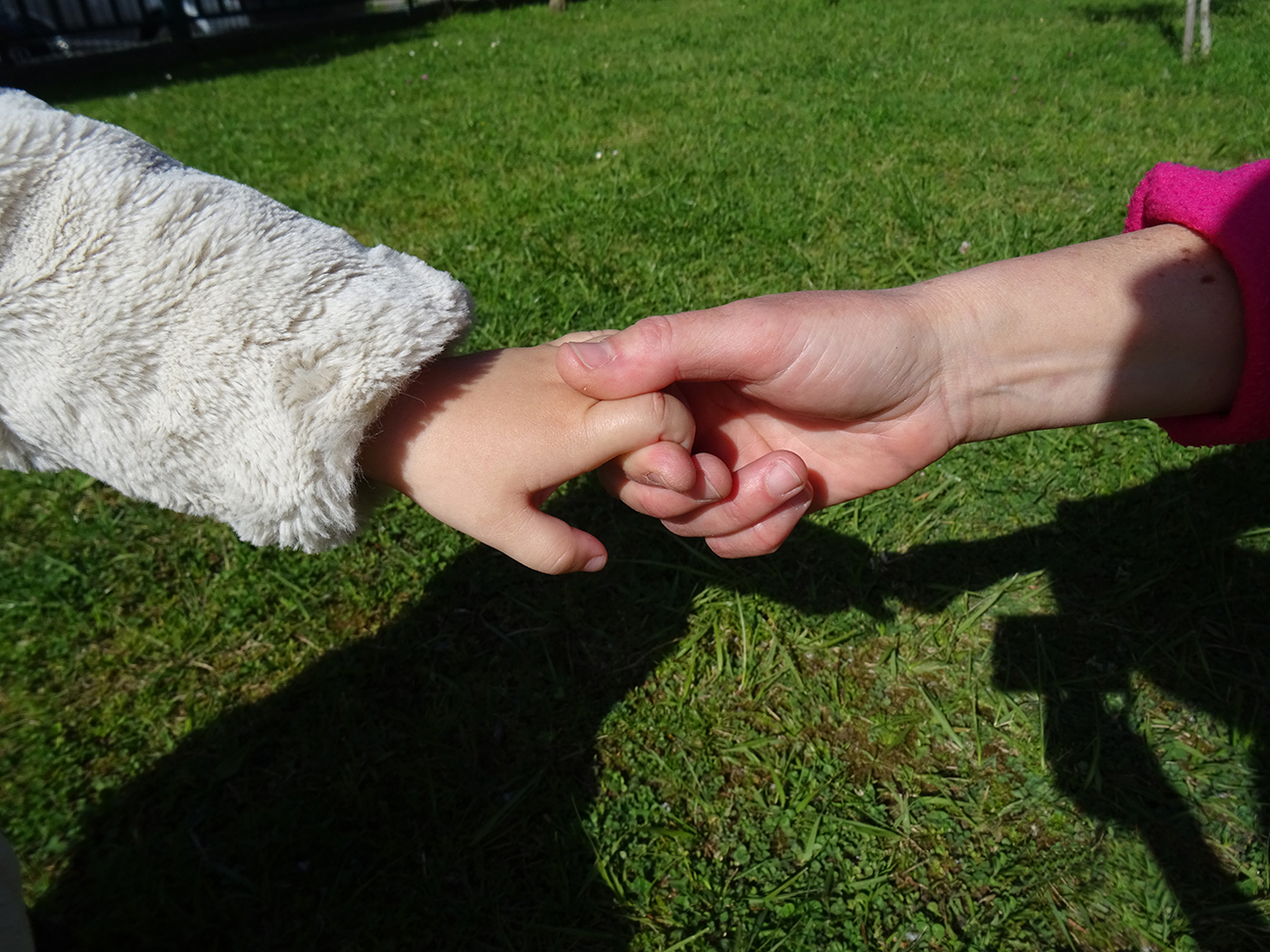 L'educació de la llibertat, l'obediència i la desobediència