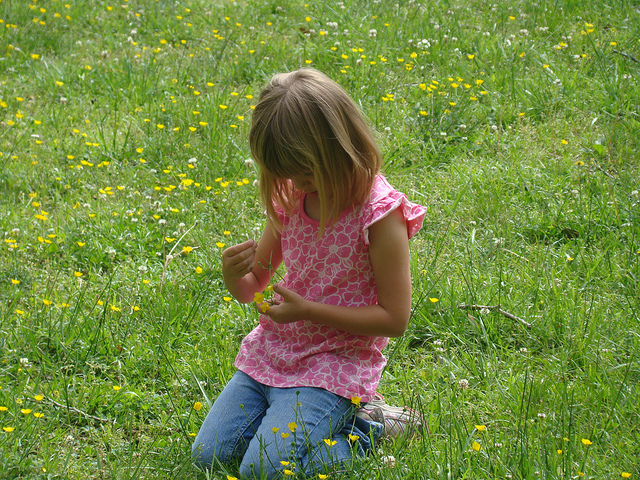 Els buits escolars de les vacances