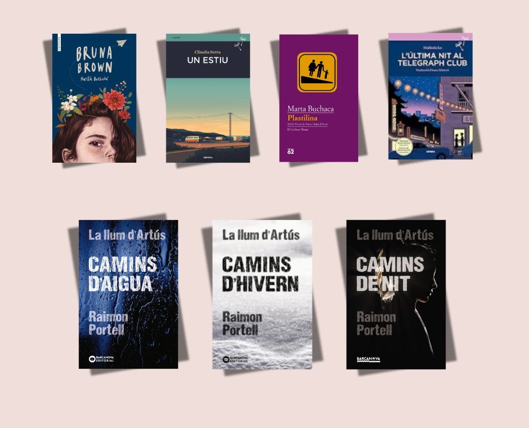 Recomanacions bibliogràfiques de literatura juvenil - Llums del Nord
