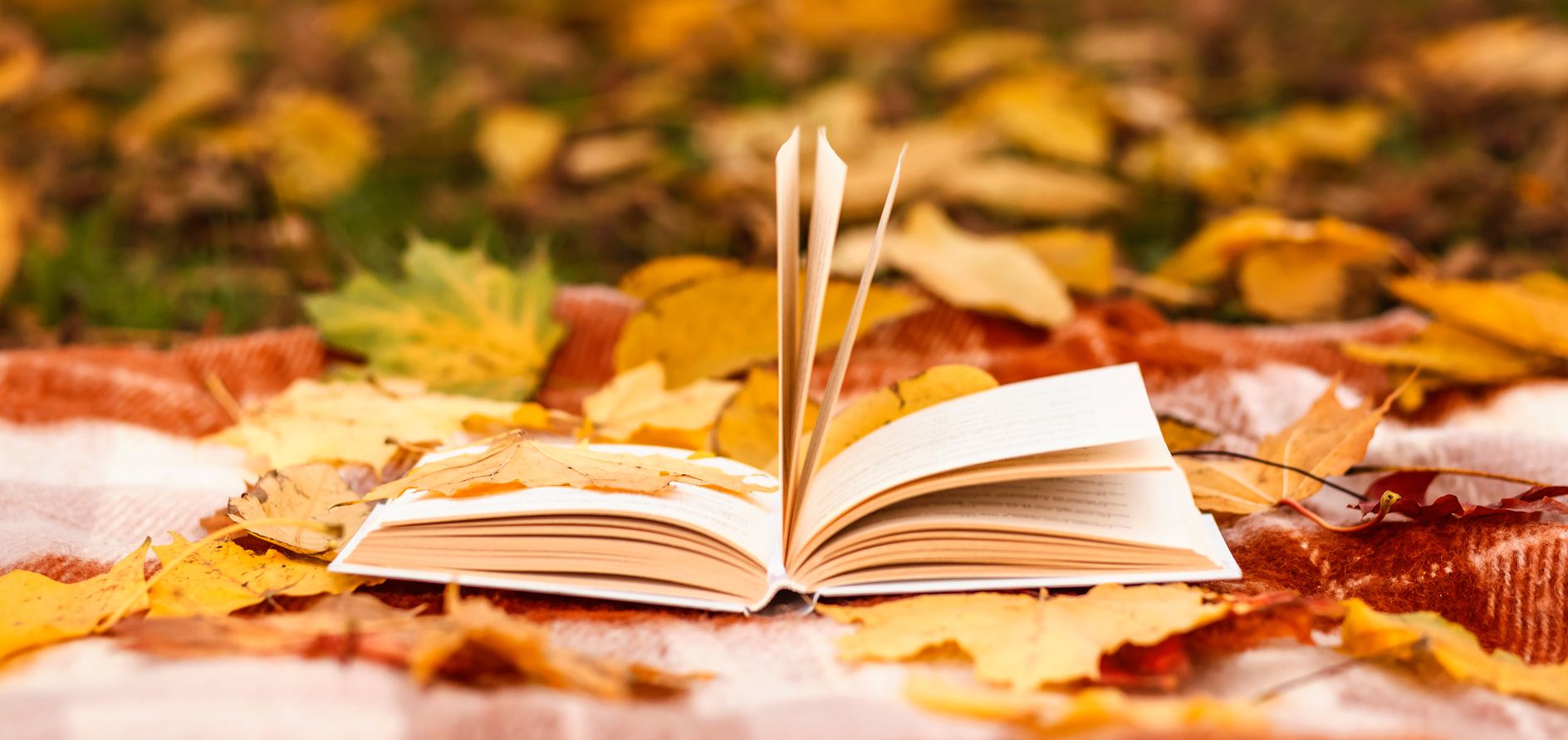 Fundesplai presenta un recull de 22 contes sobre la tardor