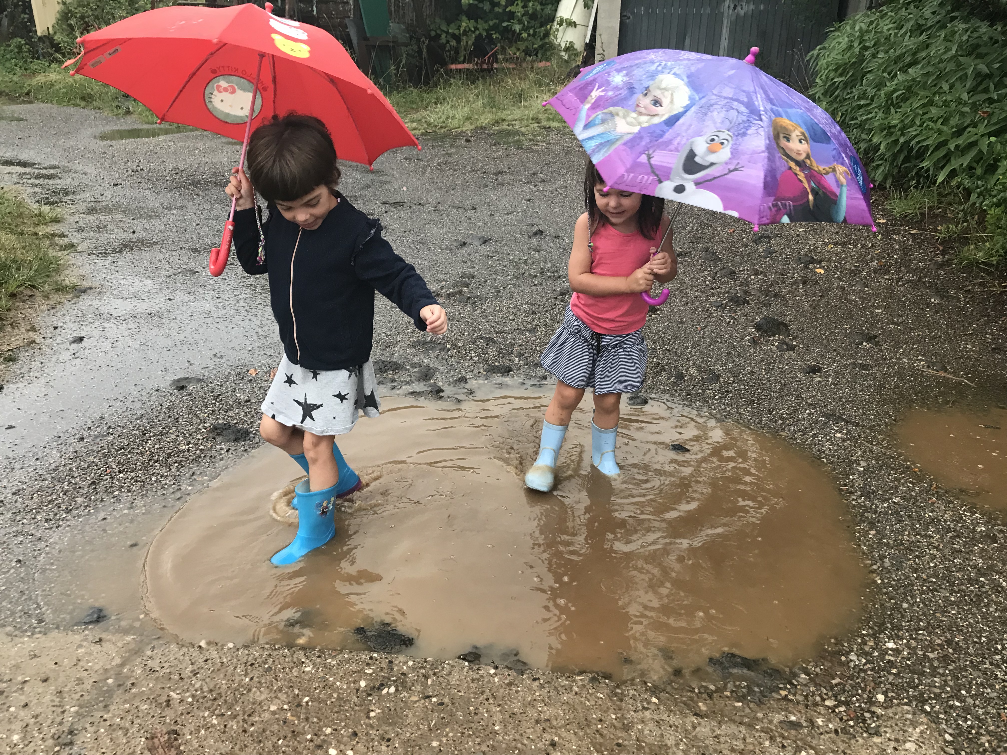 Escola 3-6. Ens atrevirem a saltar?
