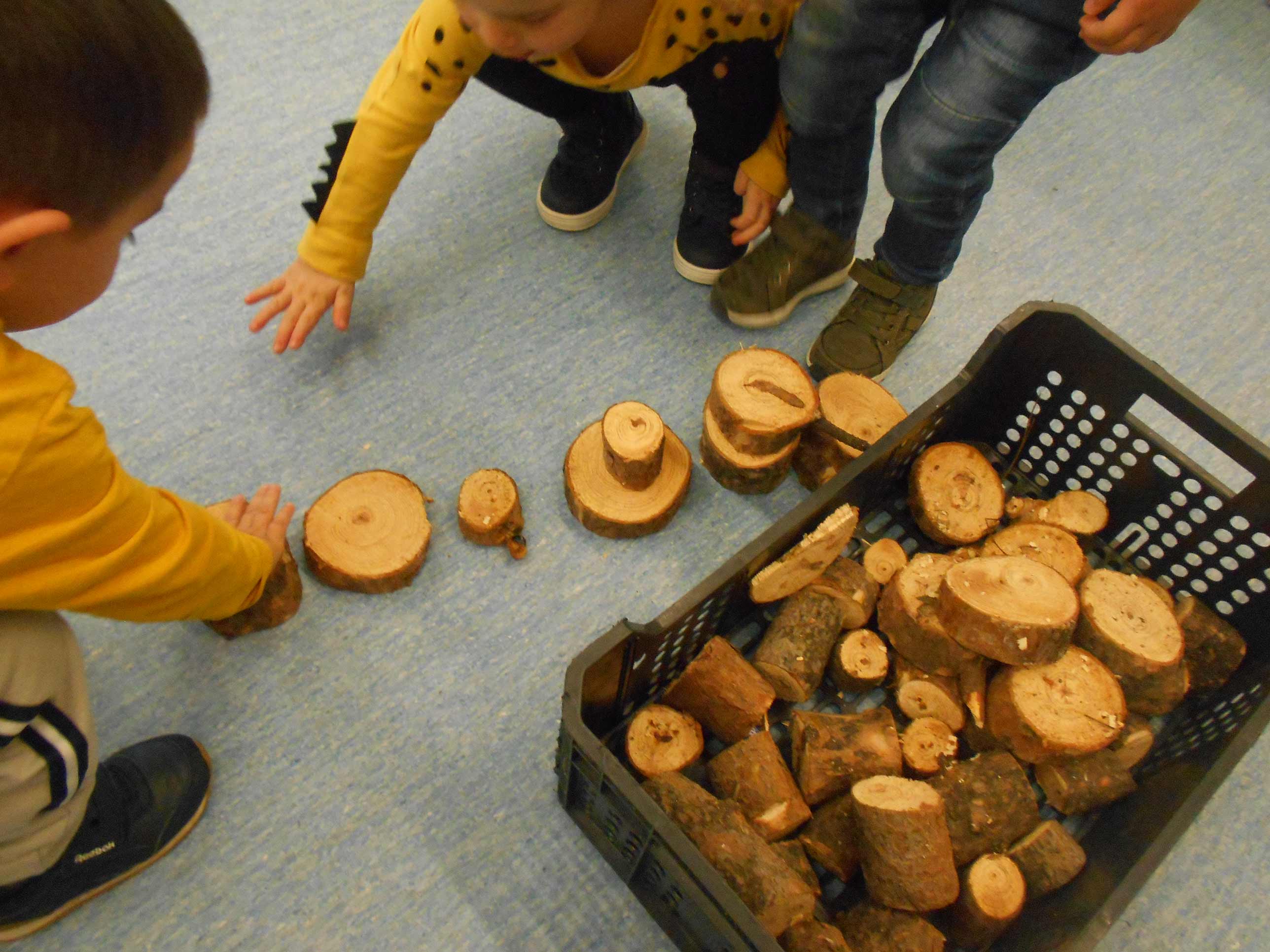 Qué descubrimos, qué creamos. Del árbol caído