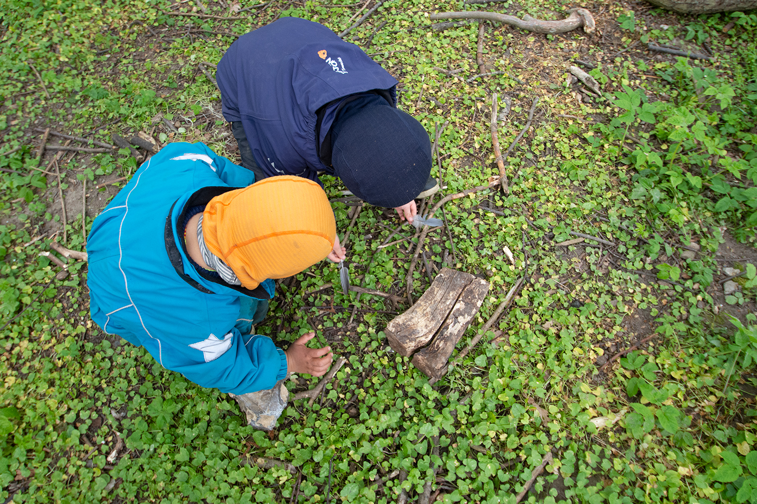 Observatori Internacional. Els jardins d’infància al bosc A Dinamarca