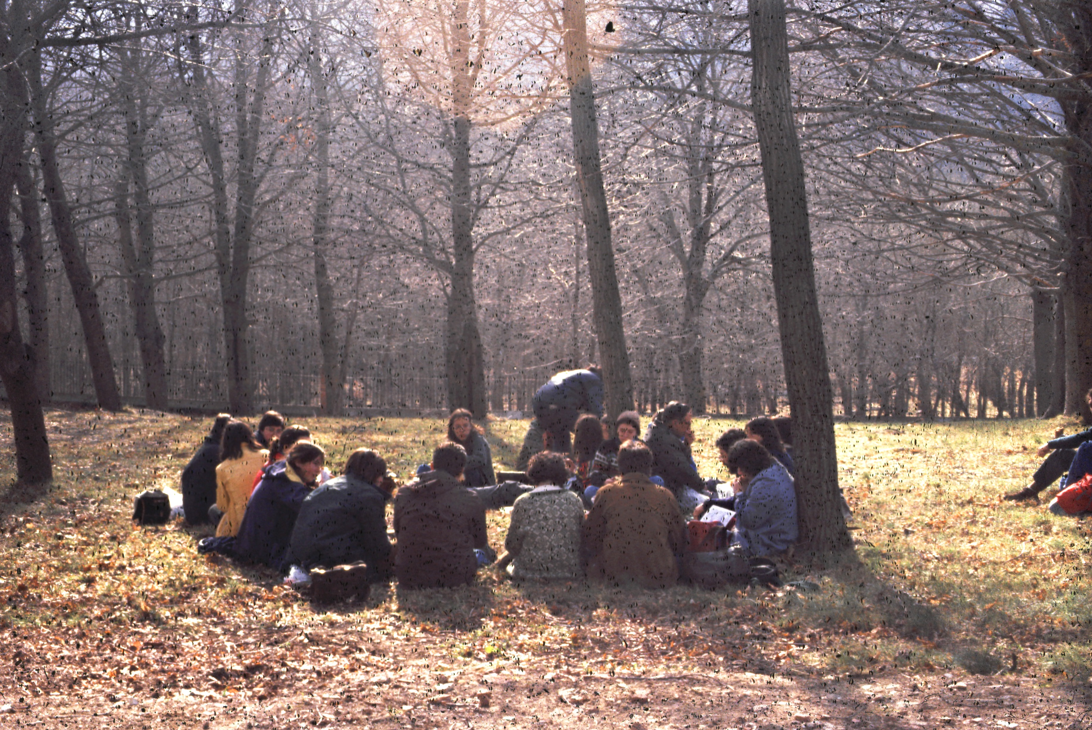 Aprendre a l'aire lliure. L’escola de Natura Can Lleonart