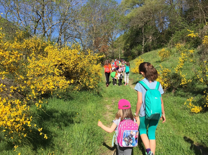 Aprendre a l'aire lliure. L’escola Doctor Robert de Camprodon