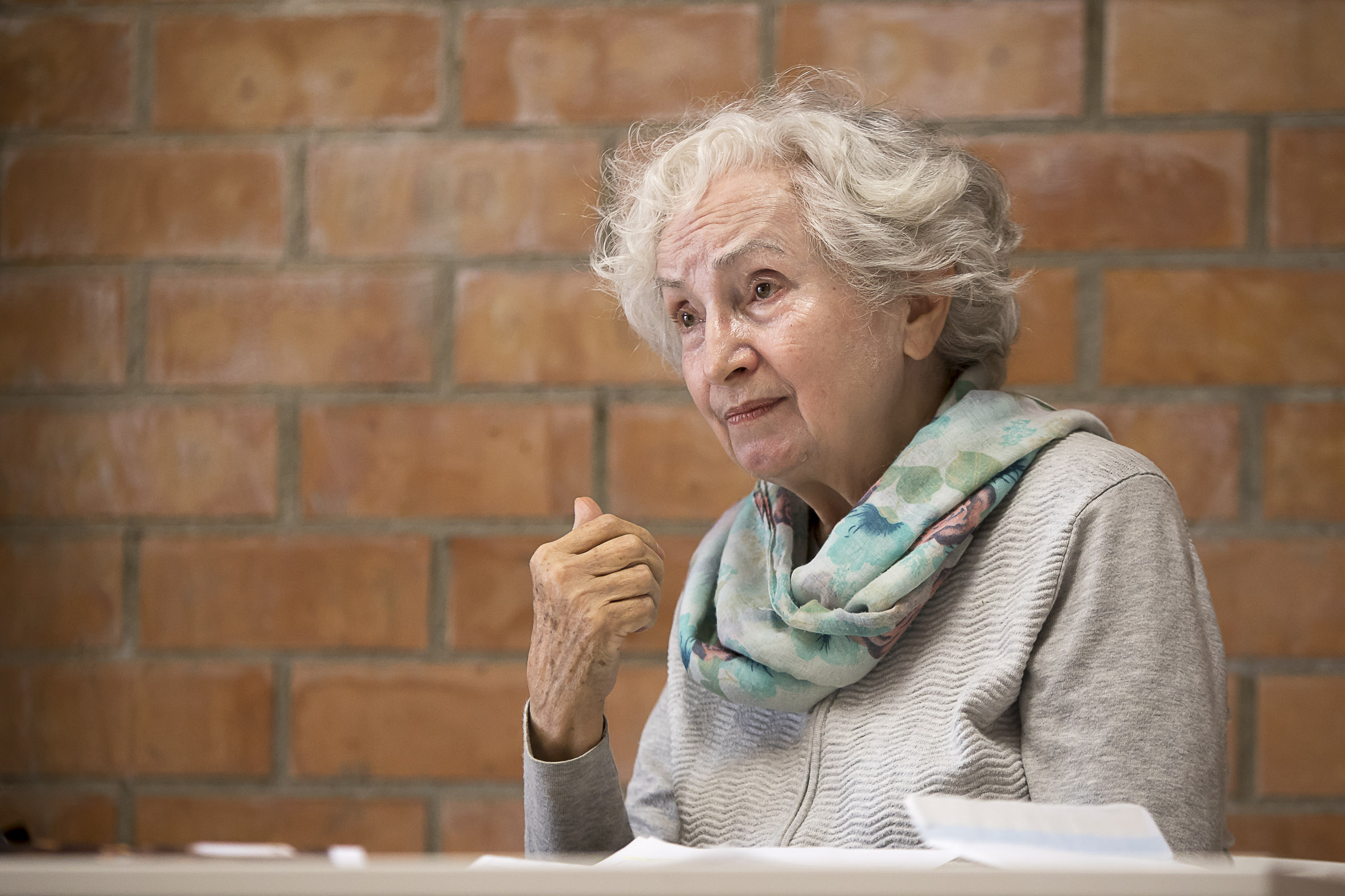 Entrevista. Conversa amb la Rosa Vidiella