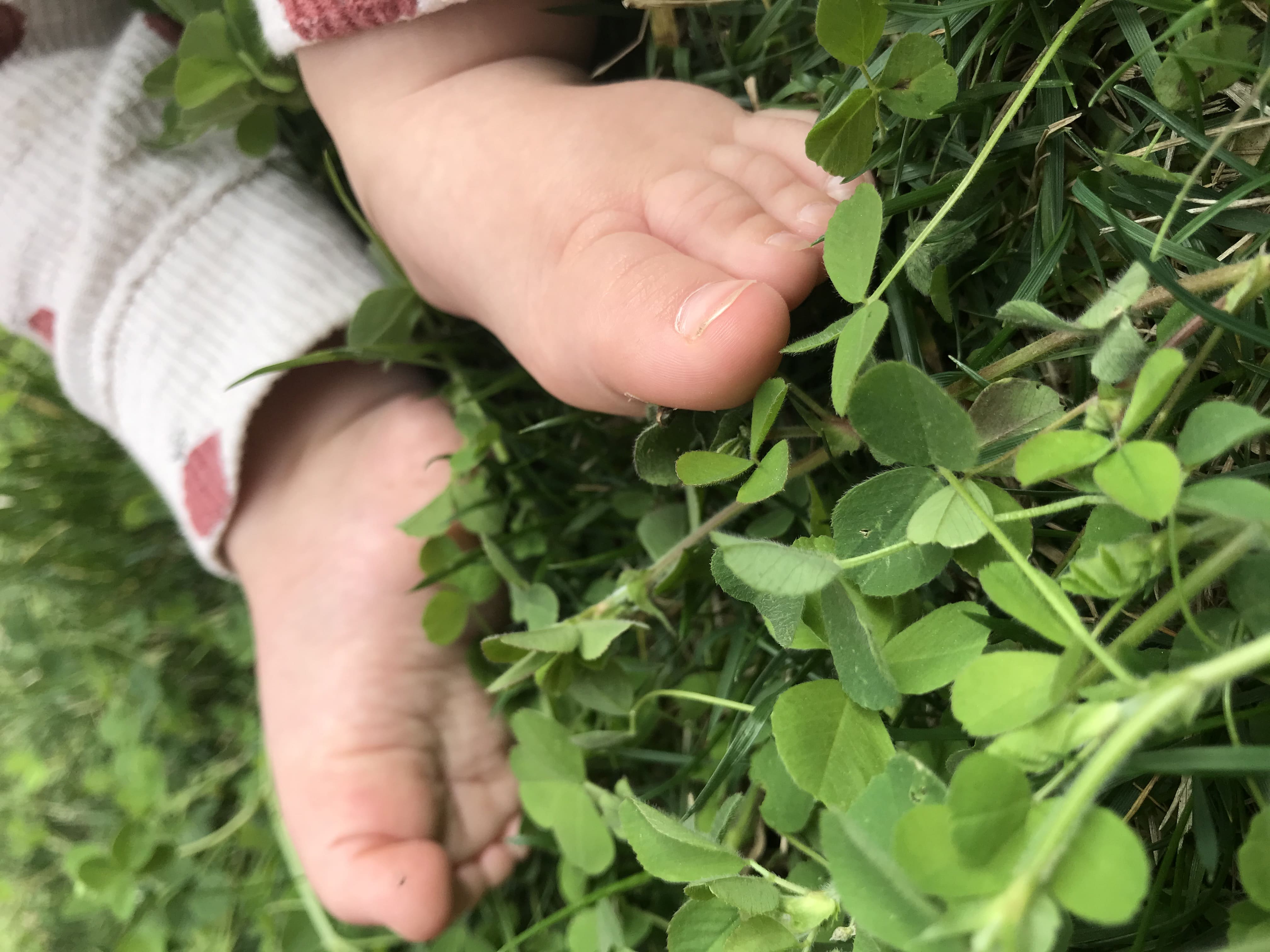 Escola 0-3. Tocar de peus a terra