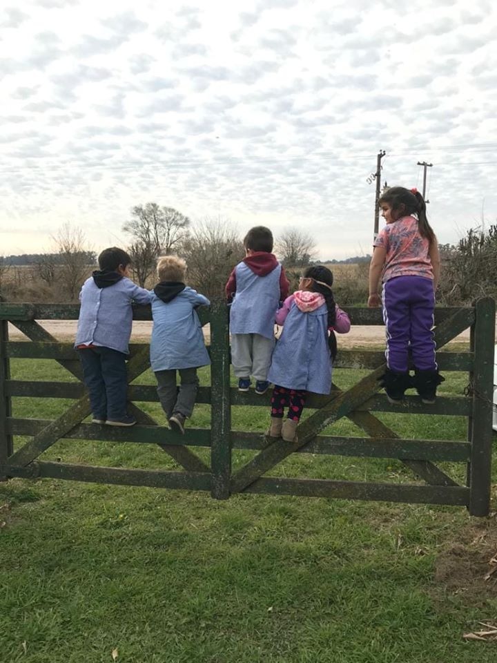 Tema. Quem cuida axs1 que cuidam