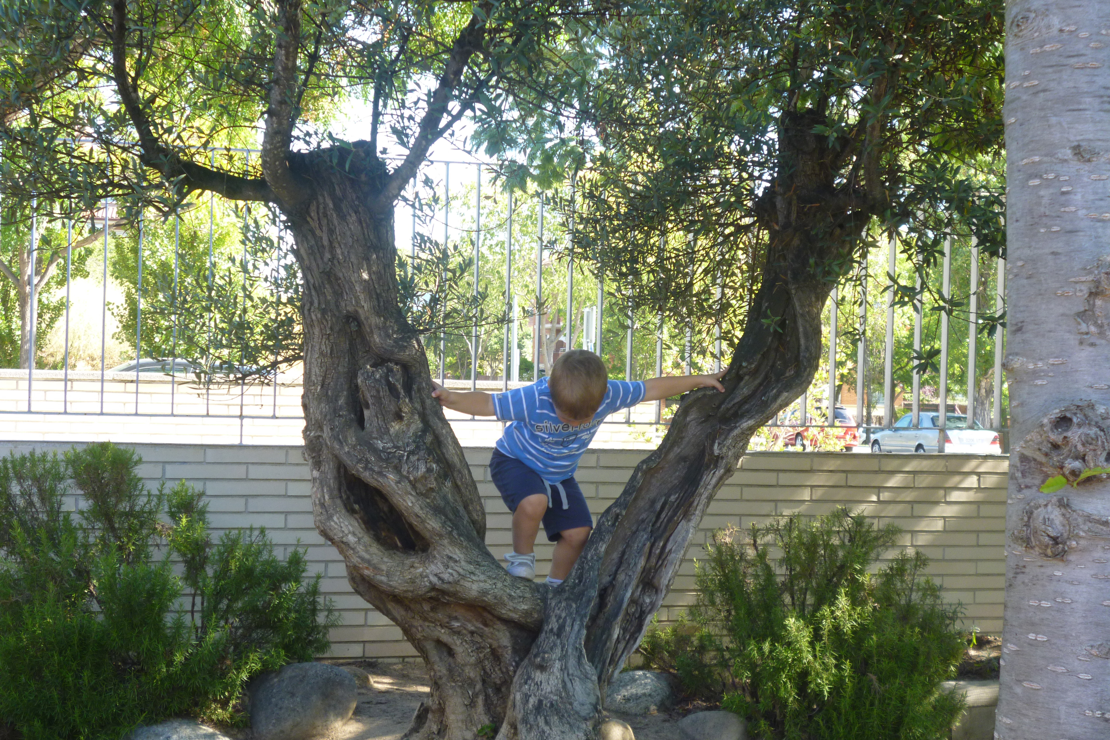 Que professores precisamos? Quais professoras e professores para quais meninas e meninos?