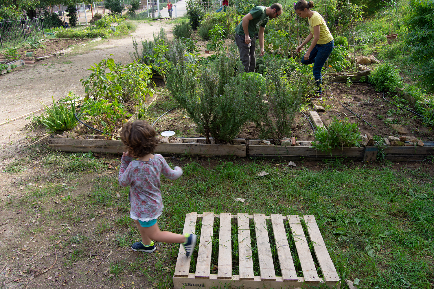 Que escola queremos? Fora da sala, na natureza. Histórias do bosque.