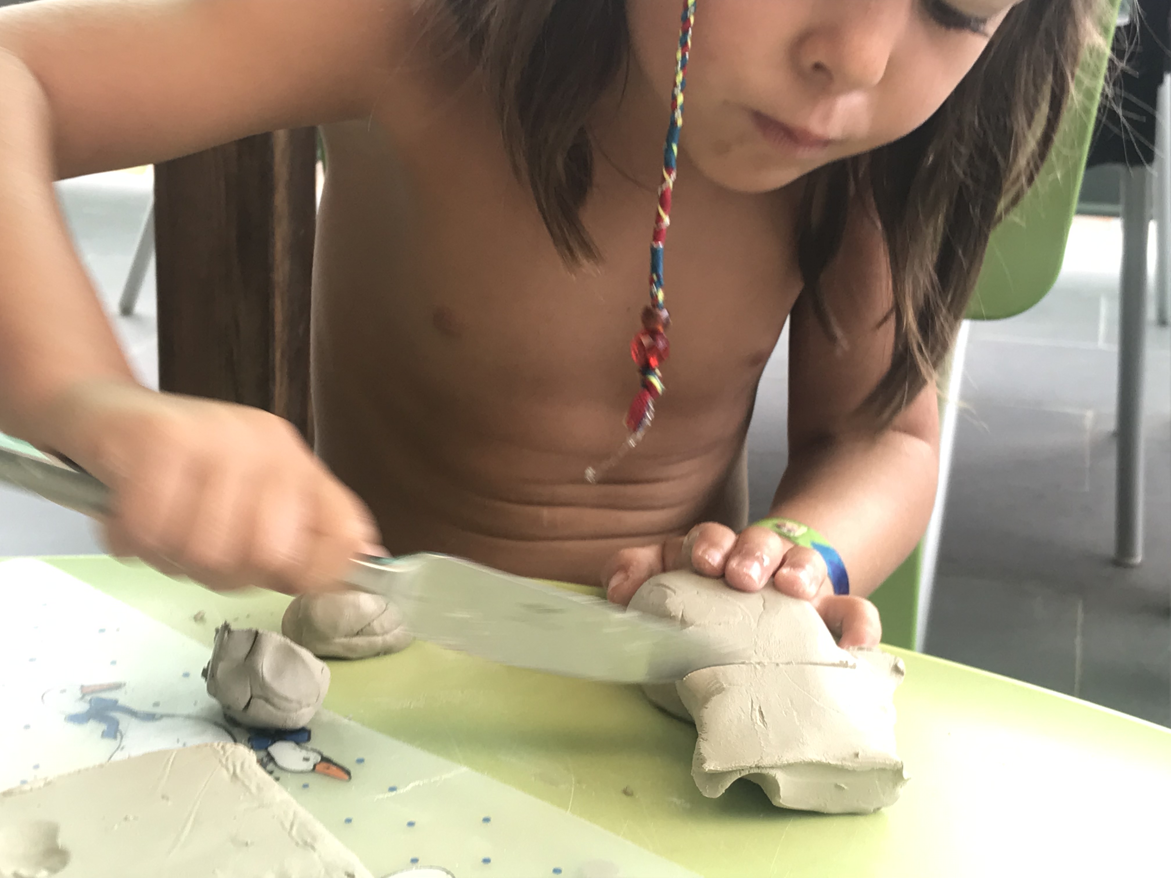 Escola 3-6. Un eriçó a les nostres vides