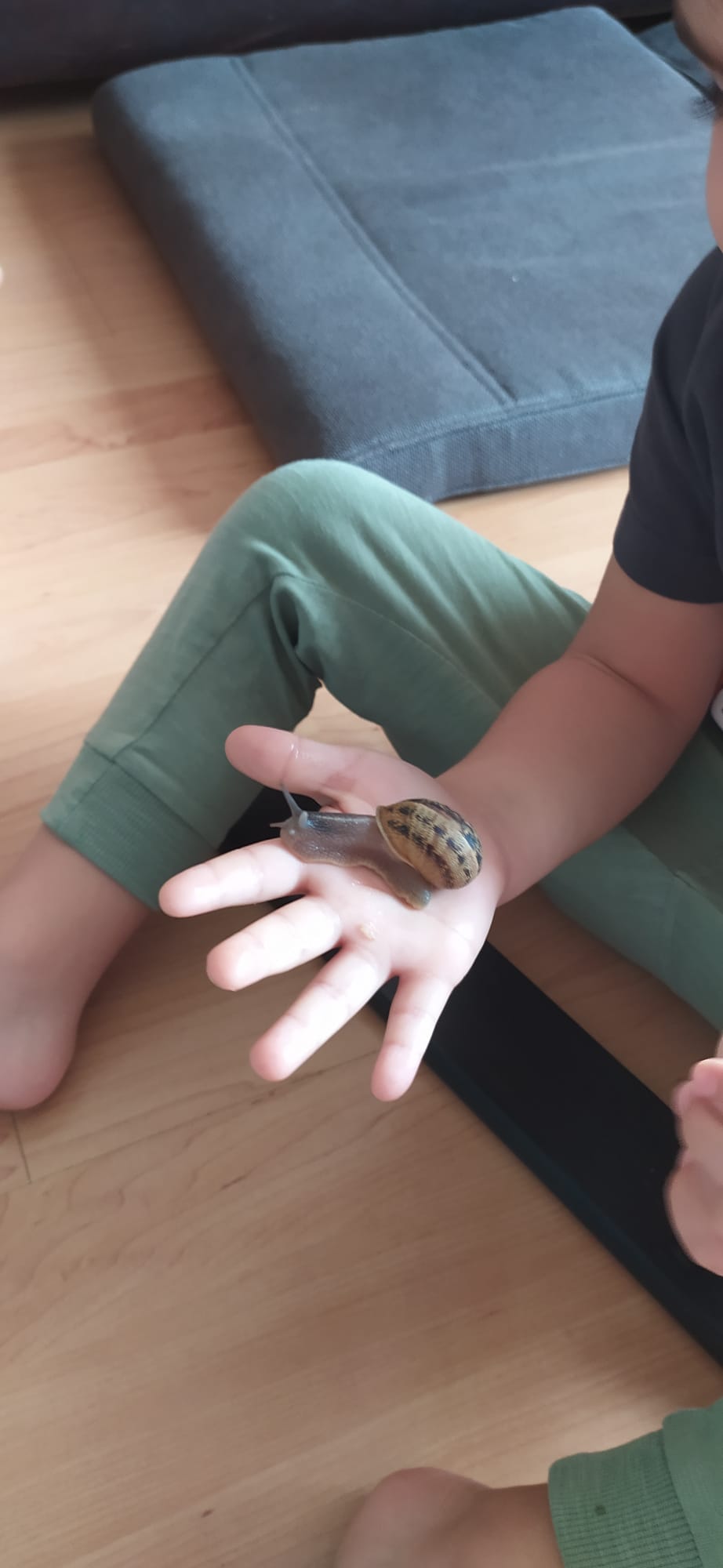 Escuela 0-3. ¿Y la curiosidad, dónde queda?