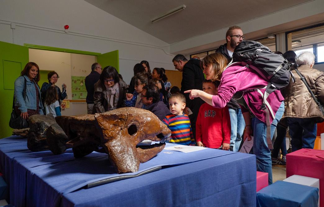 Reportatge. Magnet, al servei de l’equitat