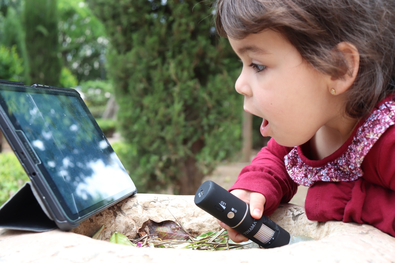 Educar de 0 a 6 años. Habitar la escuela. La atención a la belleza de los lugares