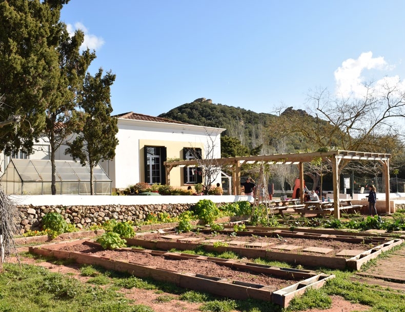 Reportatge. L’Escola Tramuntana de Favàritx