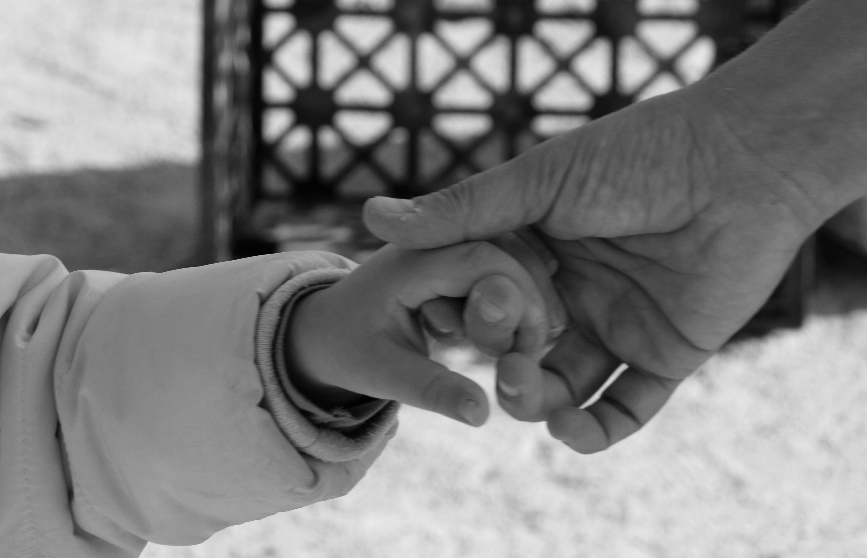 Plana oberta. Sobre la formació del professorat i la importància de triar què volem ser