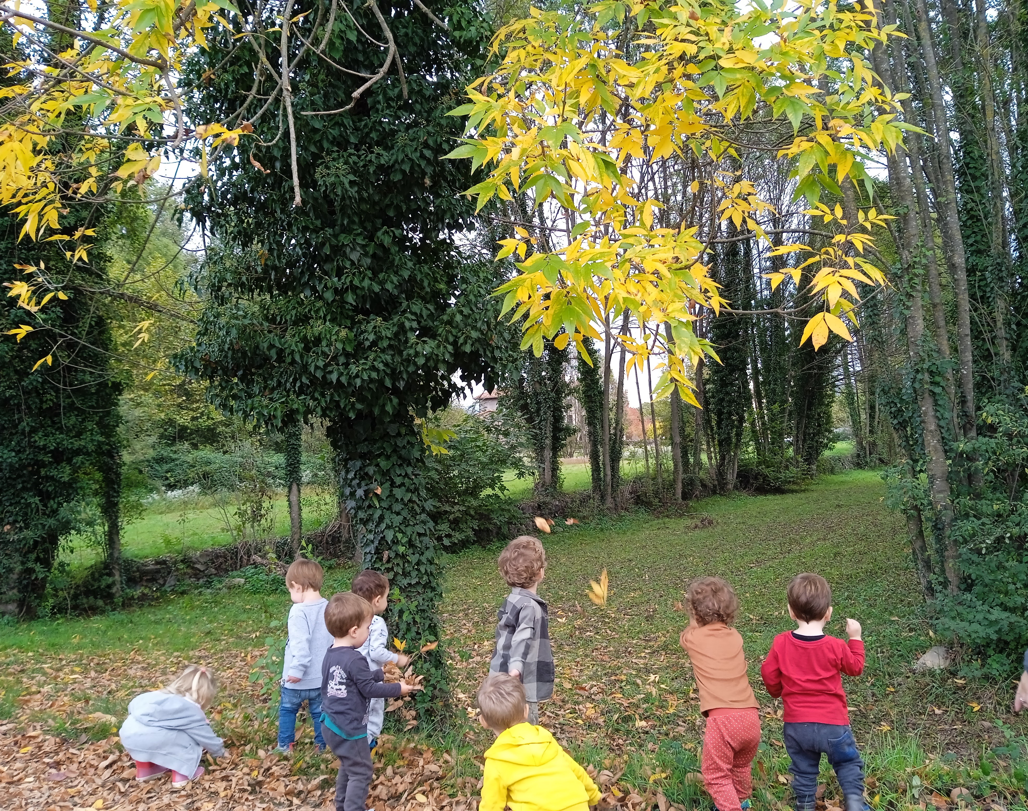 Escola 0-3. La natura, l’escenari de joc perfecte