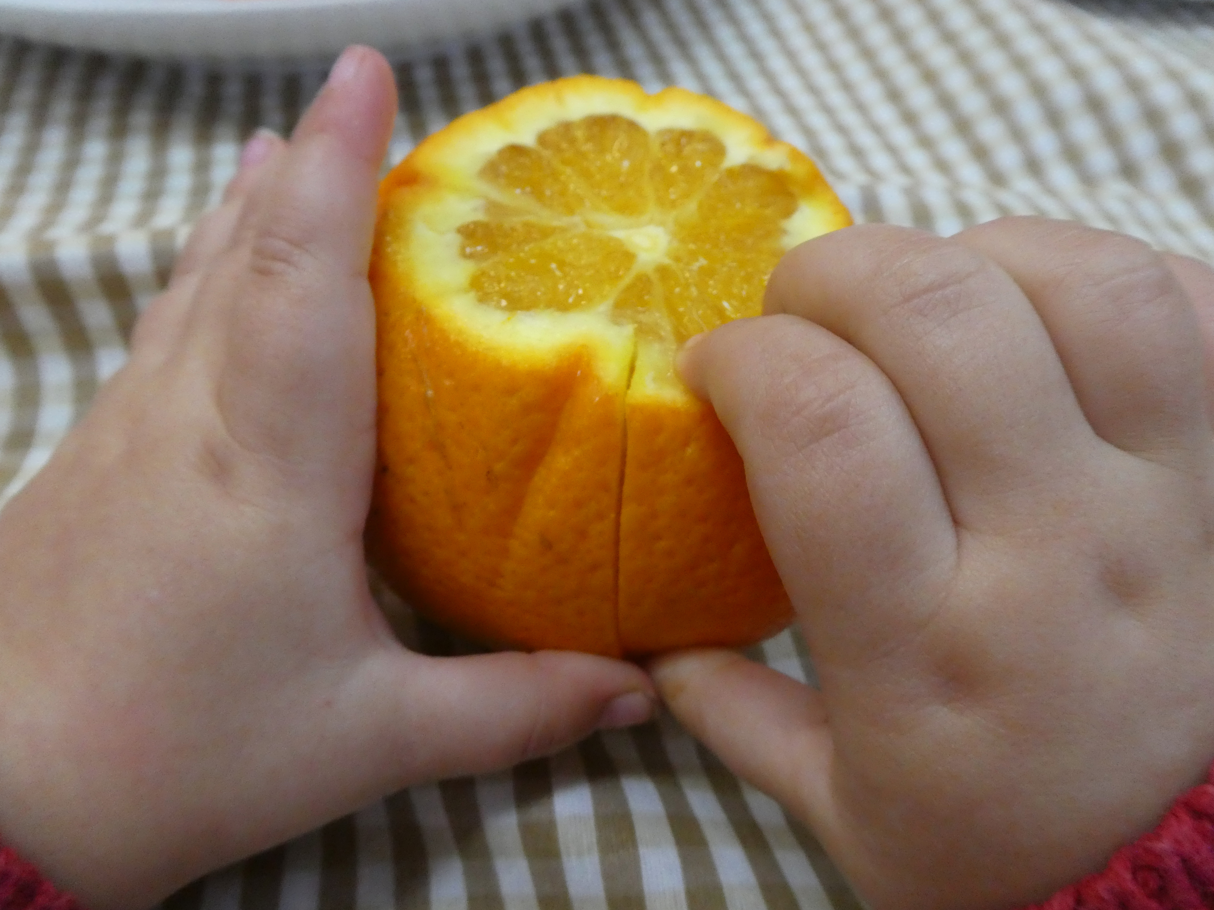 Bones pensades. L’art de pensar amb les mans