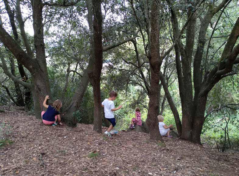 Emergència climàtica i educació