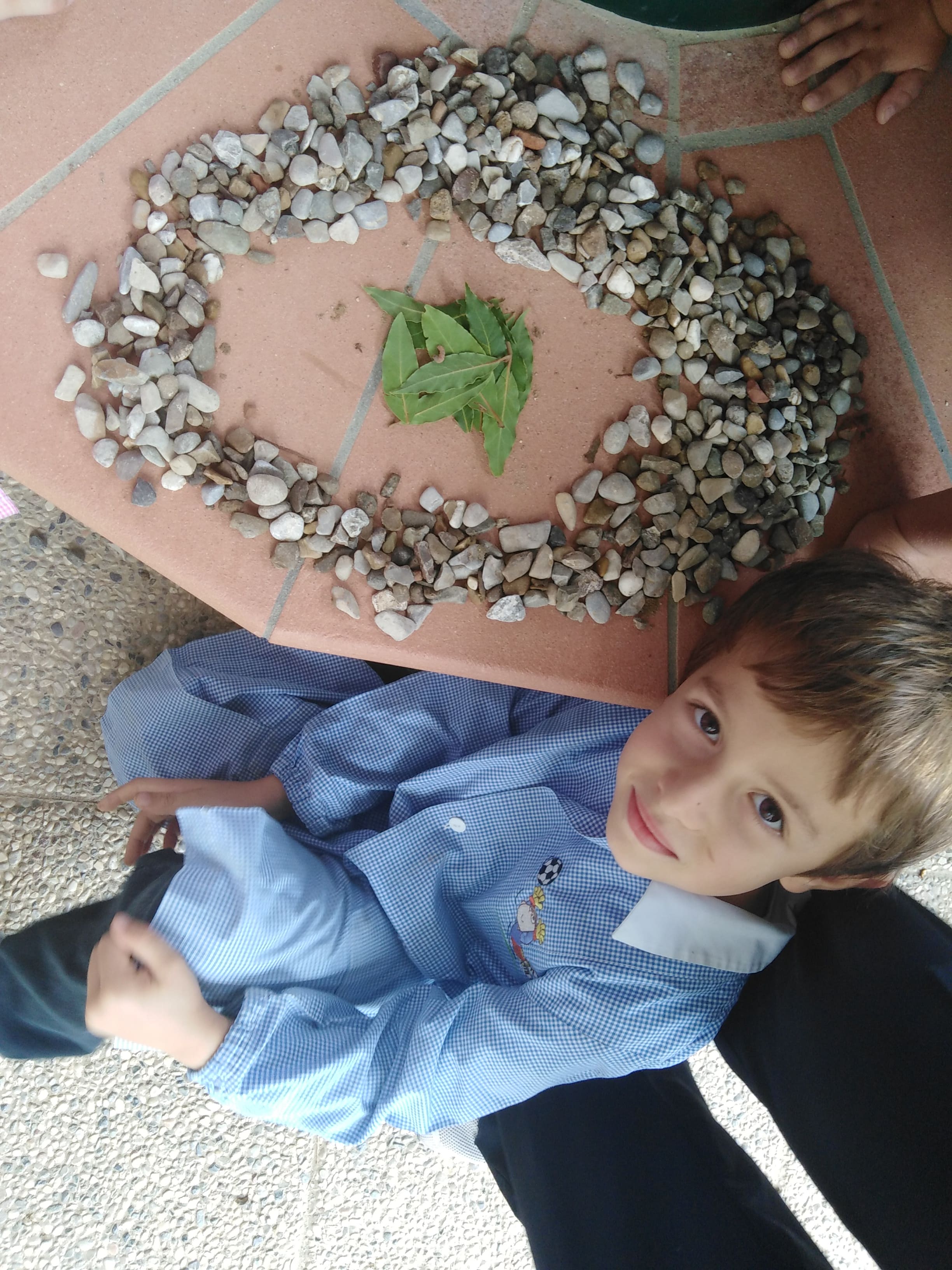 Projectes ecosostenibles