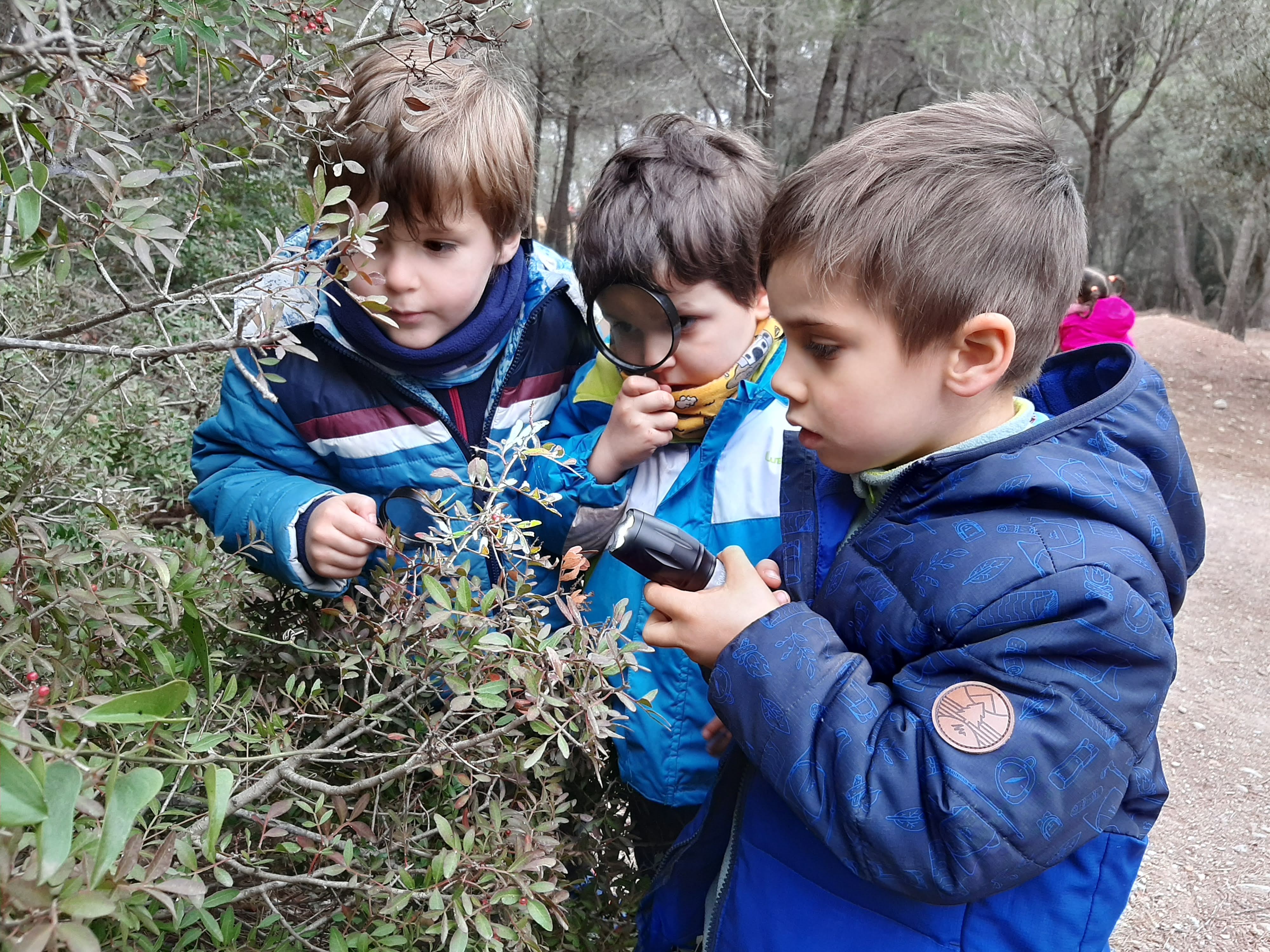 Escuela 3-6. Echando raíces en el bosque Experiencias de aprendizaje  y vida en el entorno natural