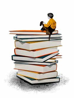 L’esporga de la biblioteca i la identitat lectora del centre