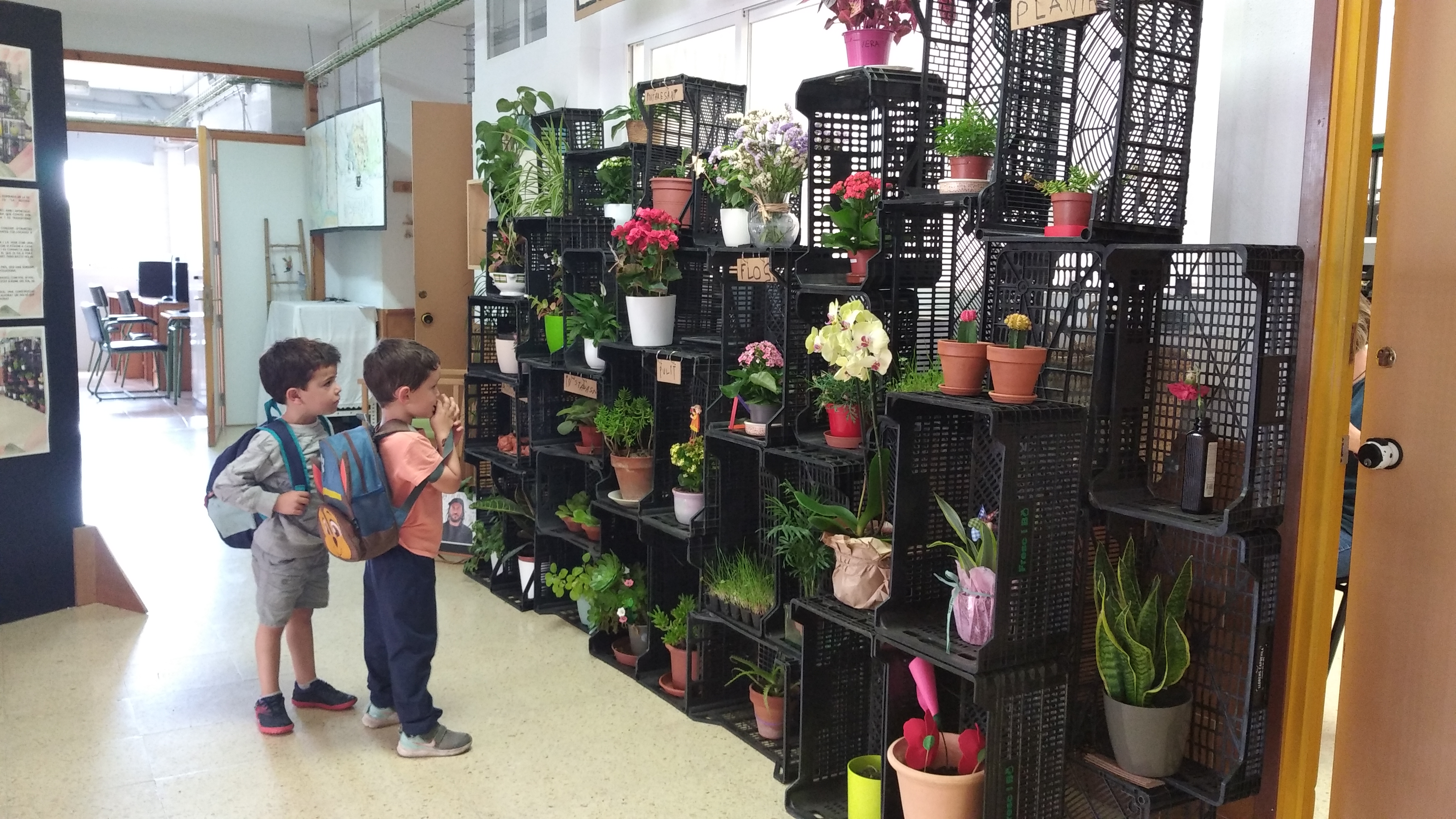 Experiències. La instal·lació