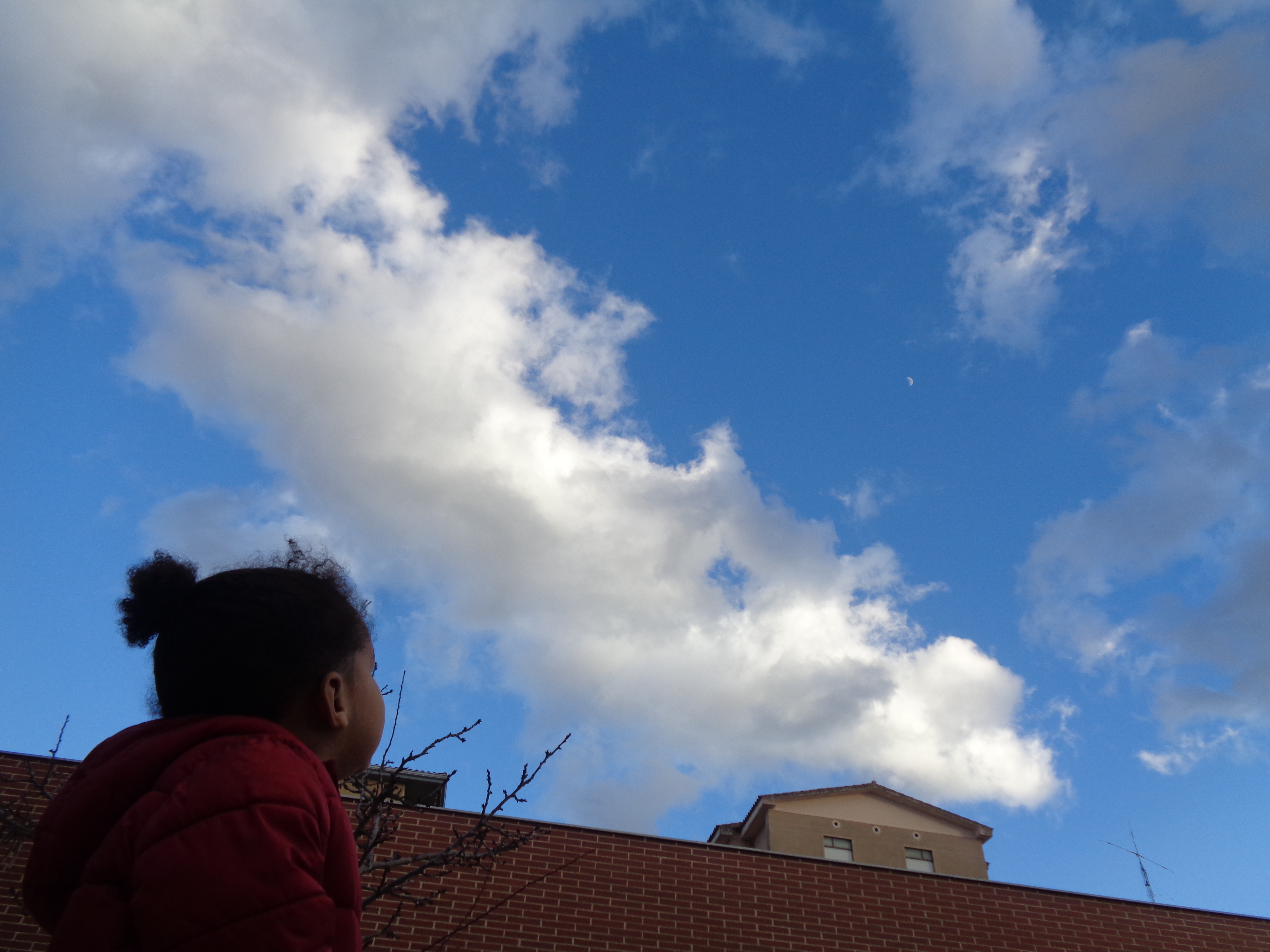 Bones pensades. Els núvols i la lluna dansen al compàs del vent