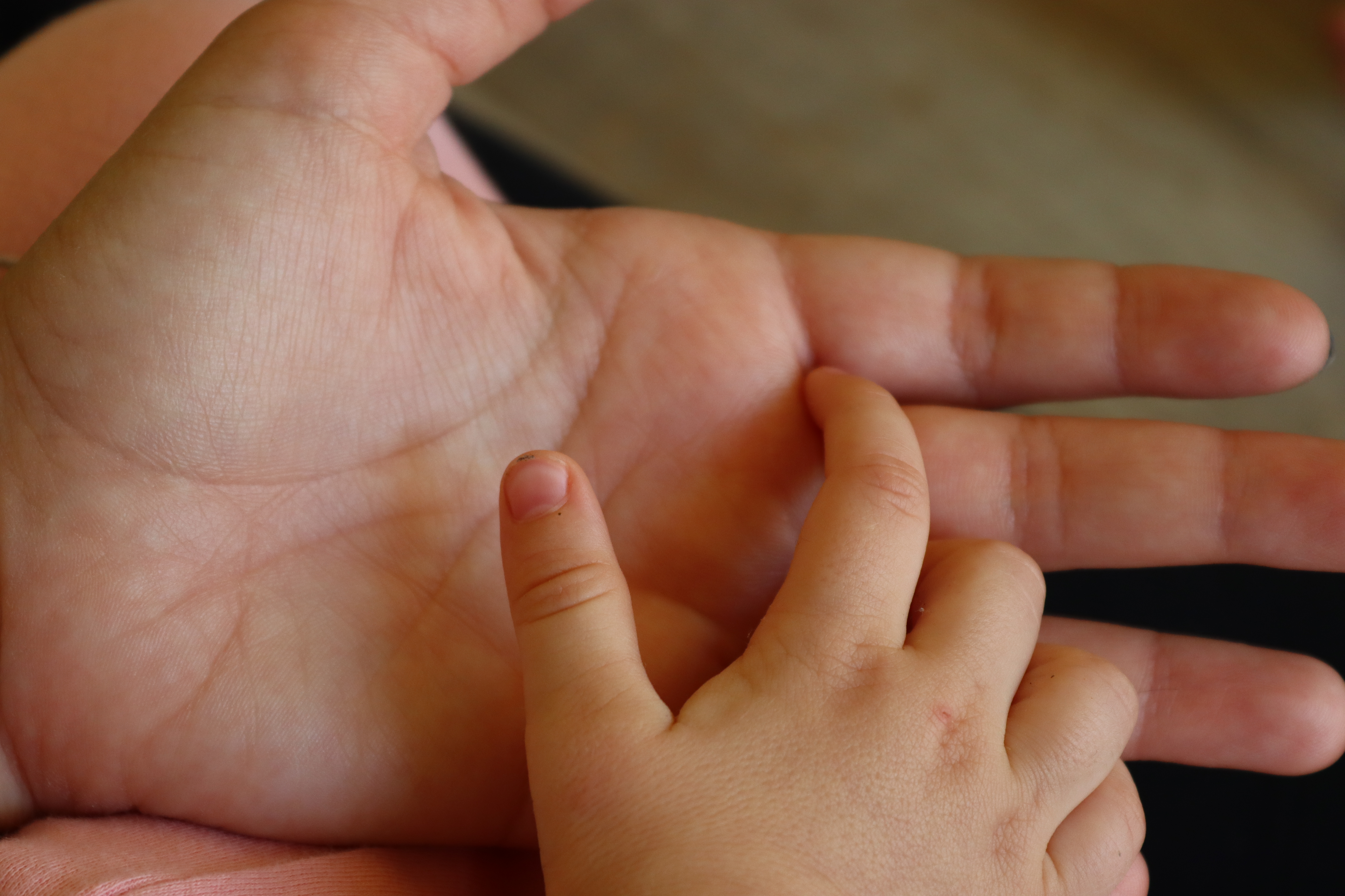 Portadeta y créditos