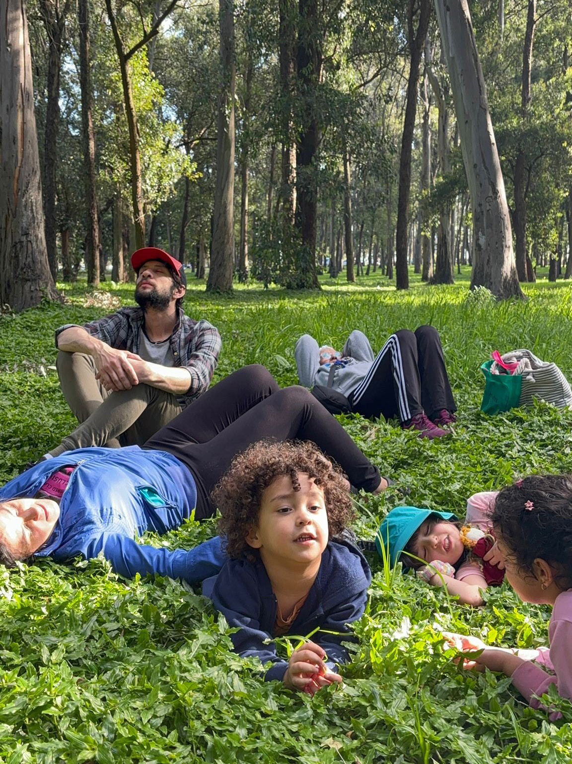 Tema. Huellas de esperanza en la naturaleza