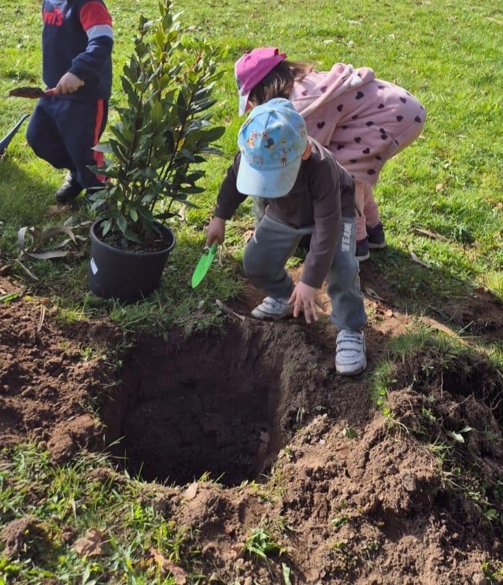 Experiencias. Cuando la teoría toma cuerpo. Aprendizaje de una maestra en prácticas