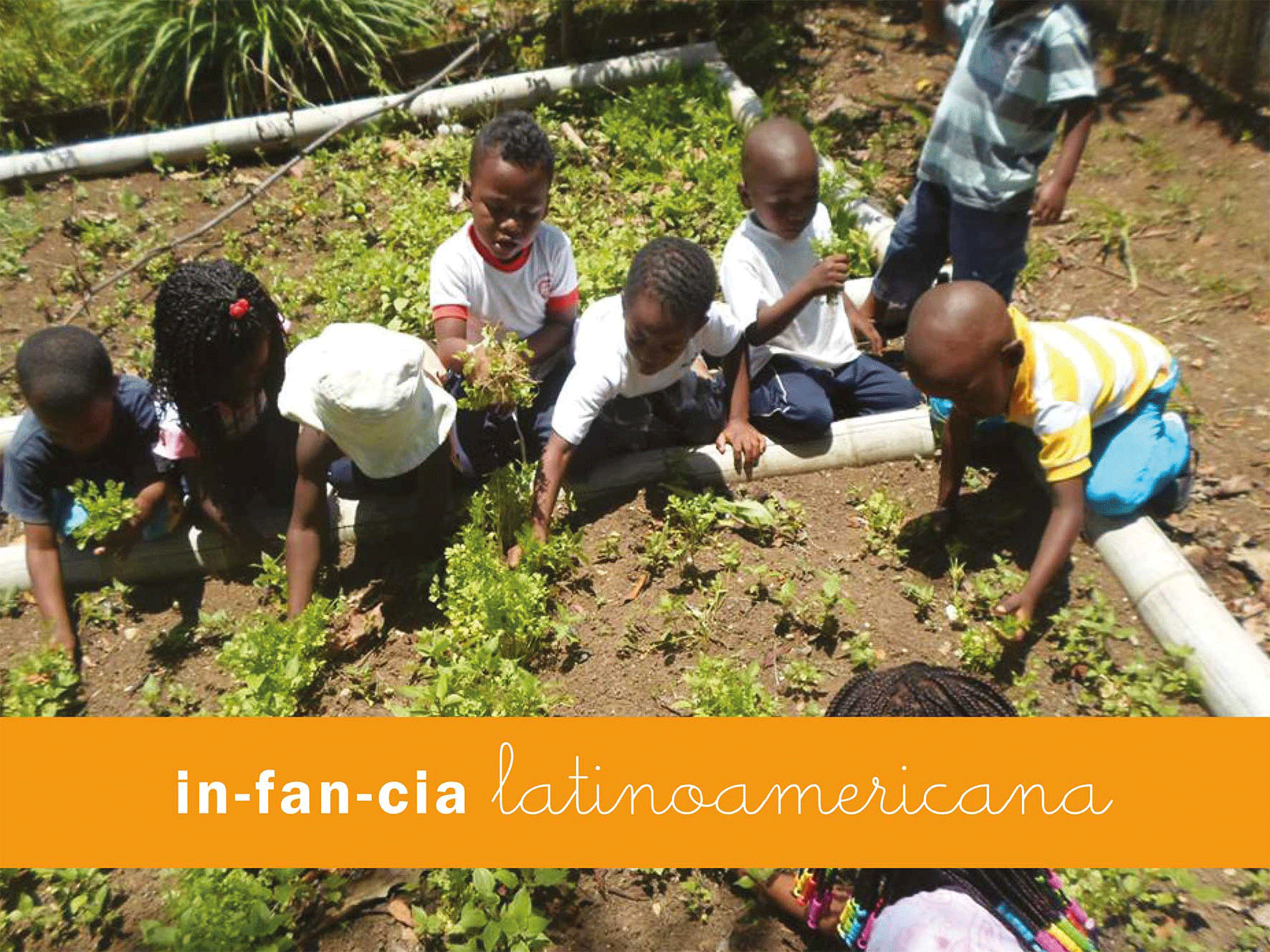 Número 20. La experiencia del bebé un mundo por descubrir