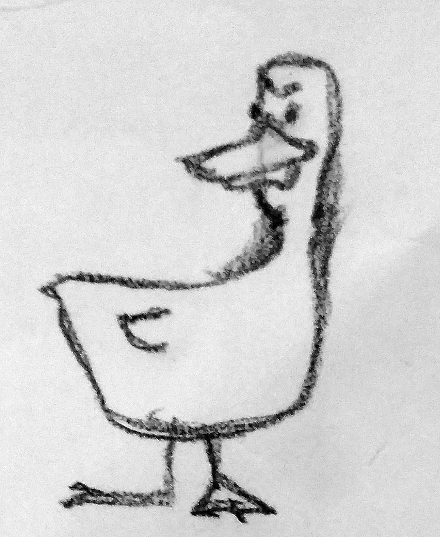 El conte. L’aneguet troba la seva veu