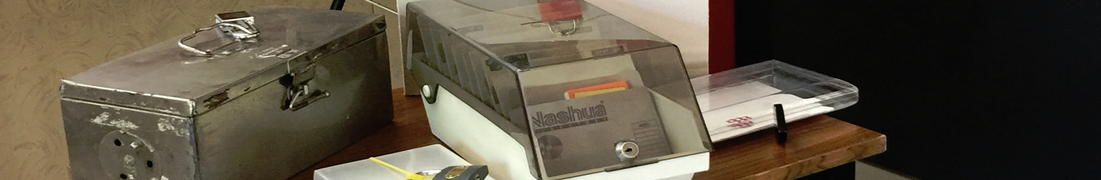 Escola. Les egagròpiles: de què s’alimenten els nostres rapinyaires?