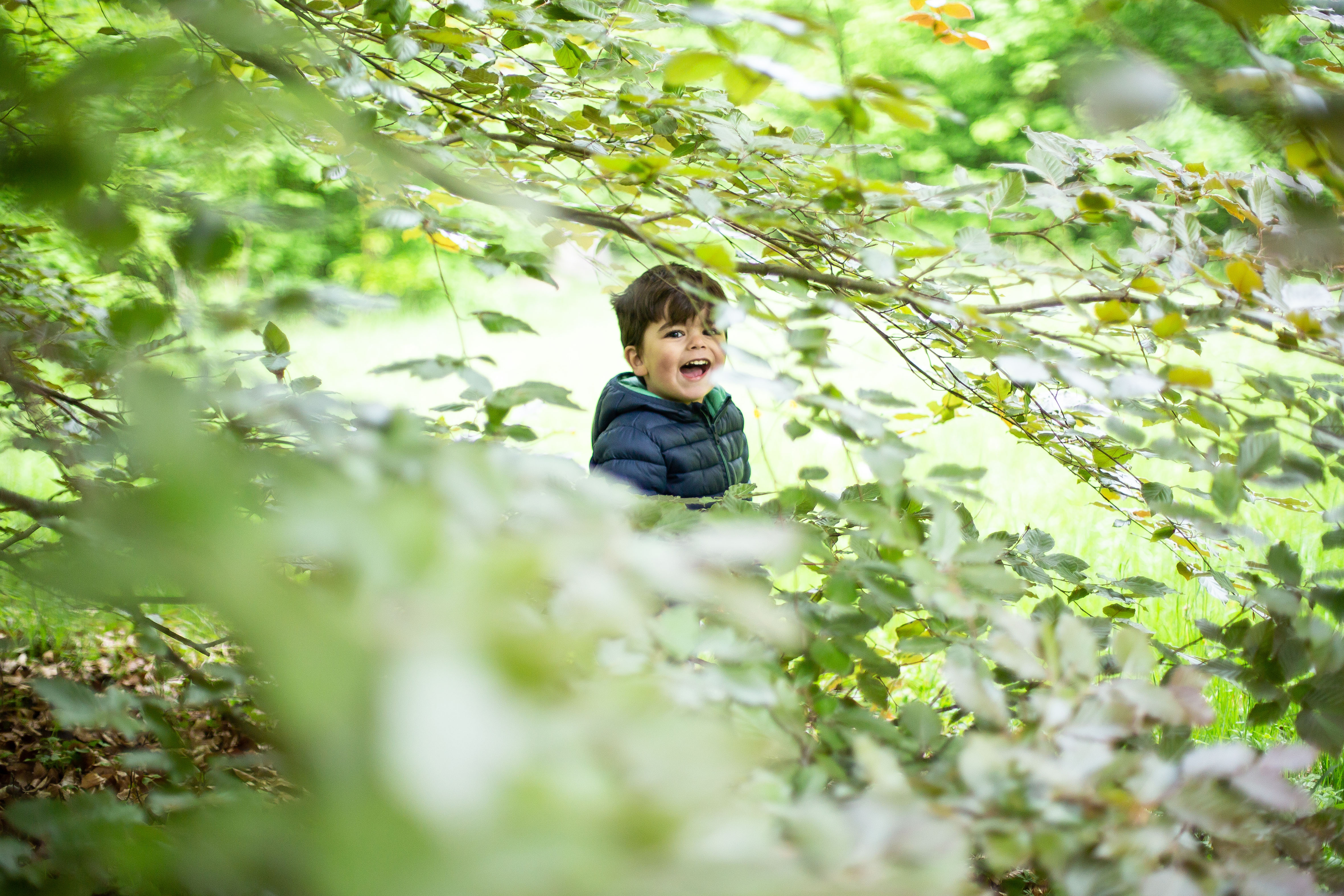 Editorial i introducció